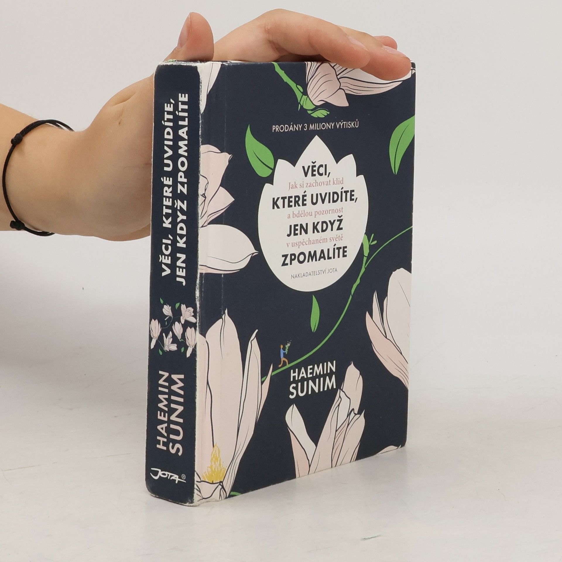 Sunim Haemin Věci, které uvidíte, jen když zpomalíte