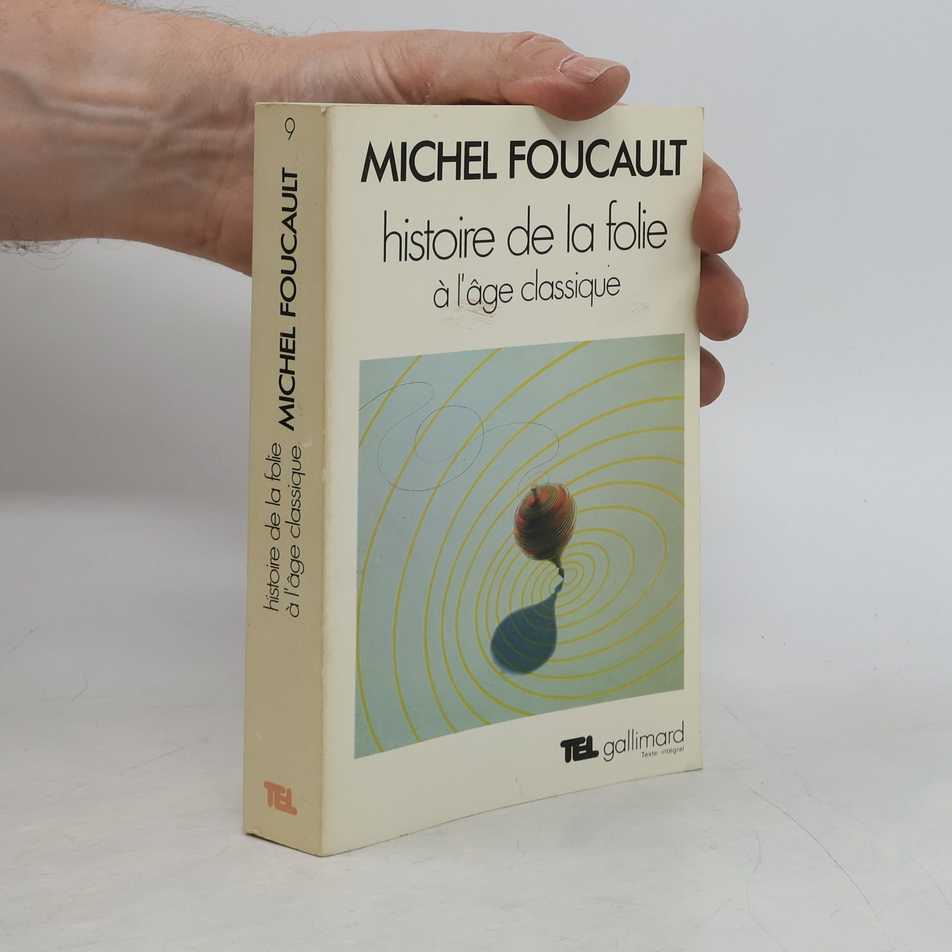 Michel Foucault Histoire de la folie à l'âge classique
