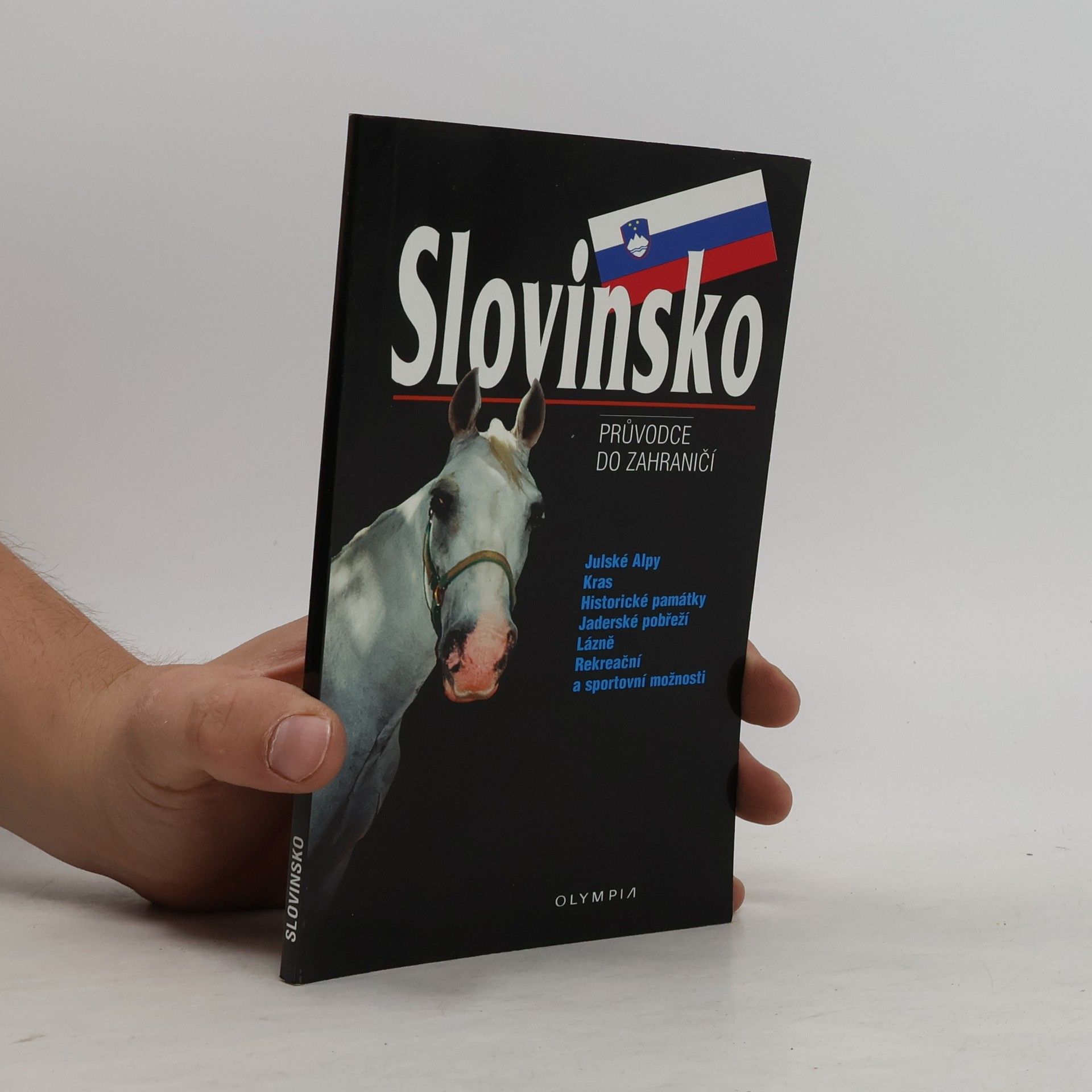 Ondřej Soukup Slovinsko