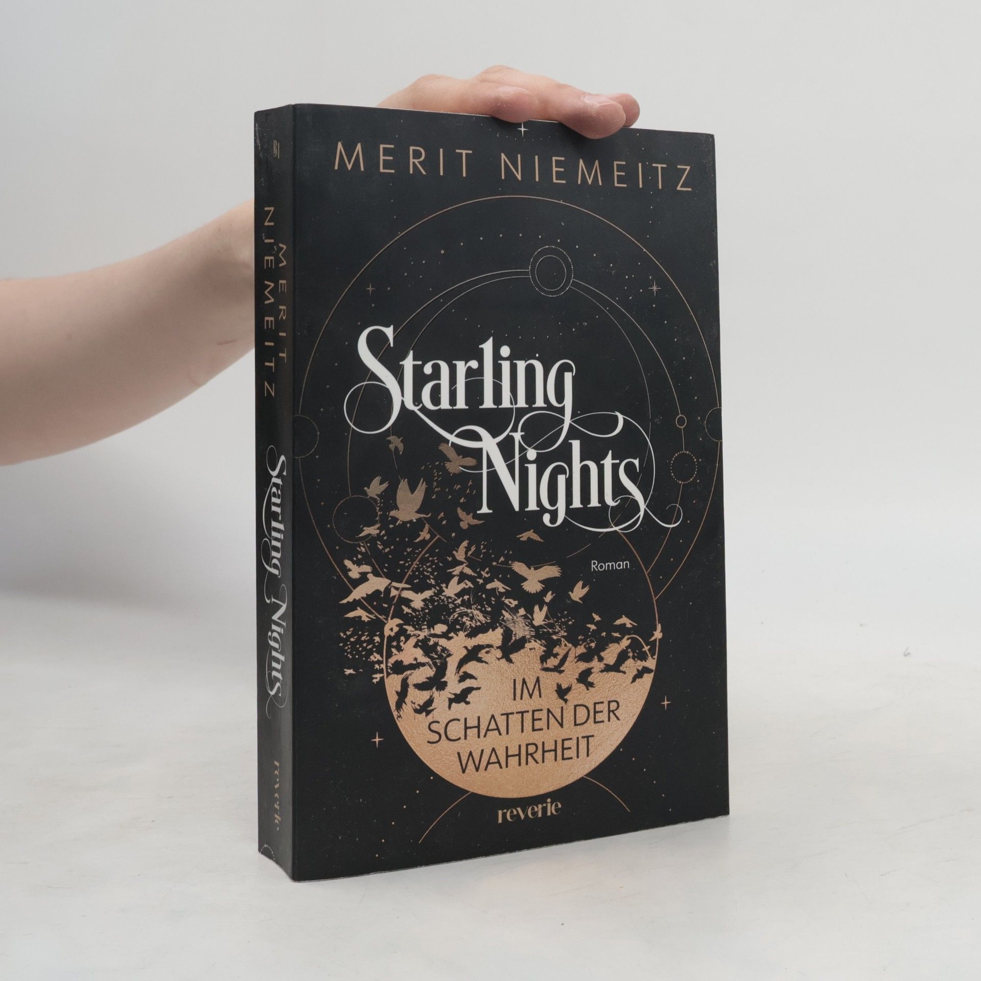 Merit Niemeitz Starling Nights 1