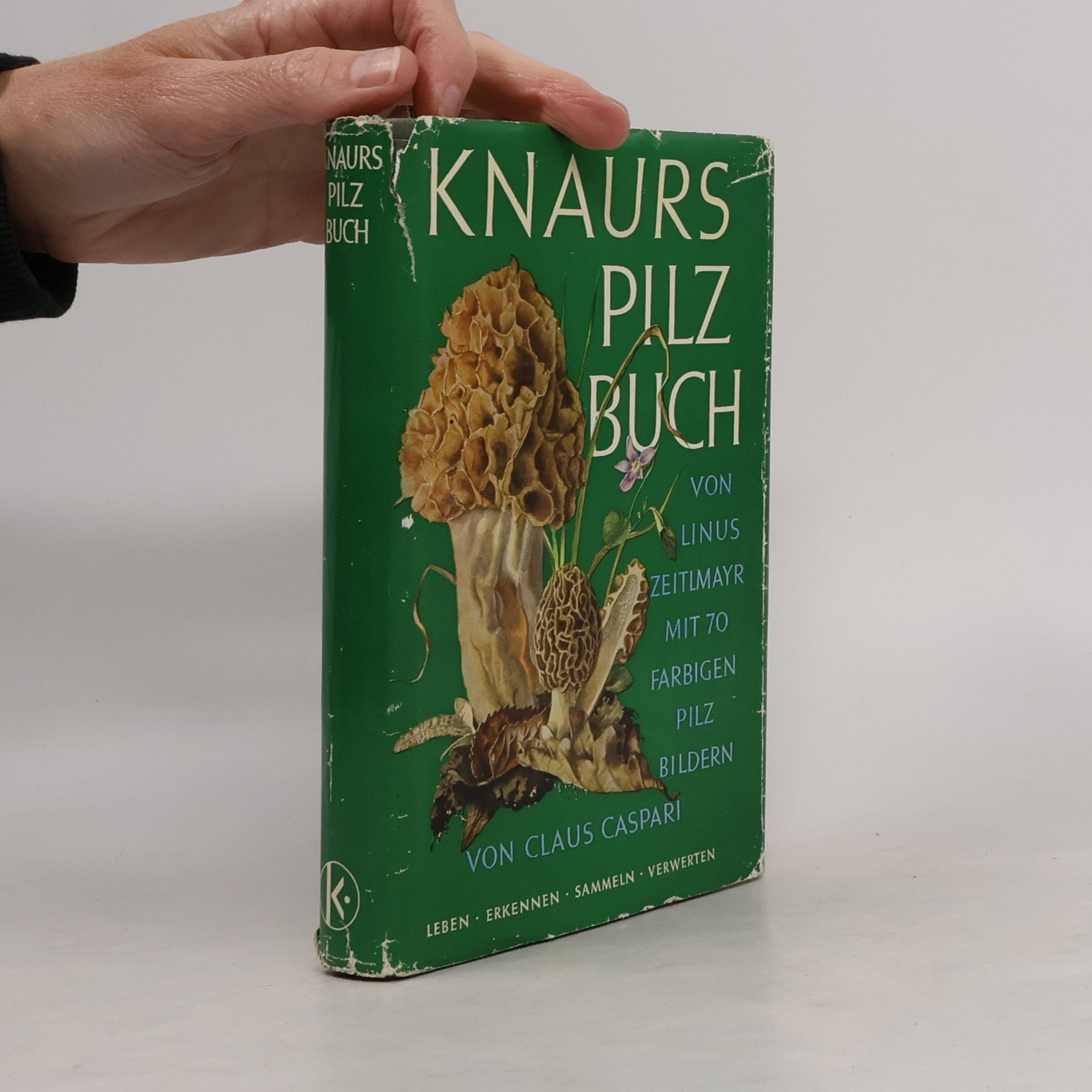 Autorenkollektiv Knaurs Pilz-Buch