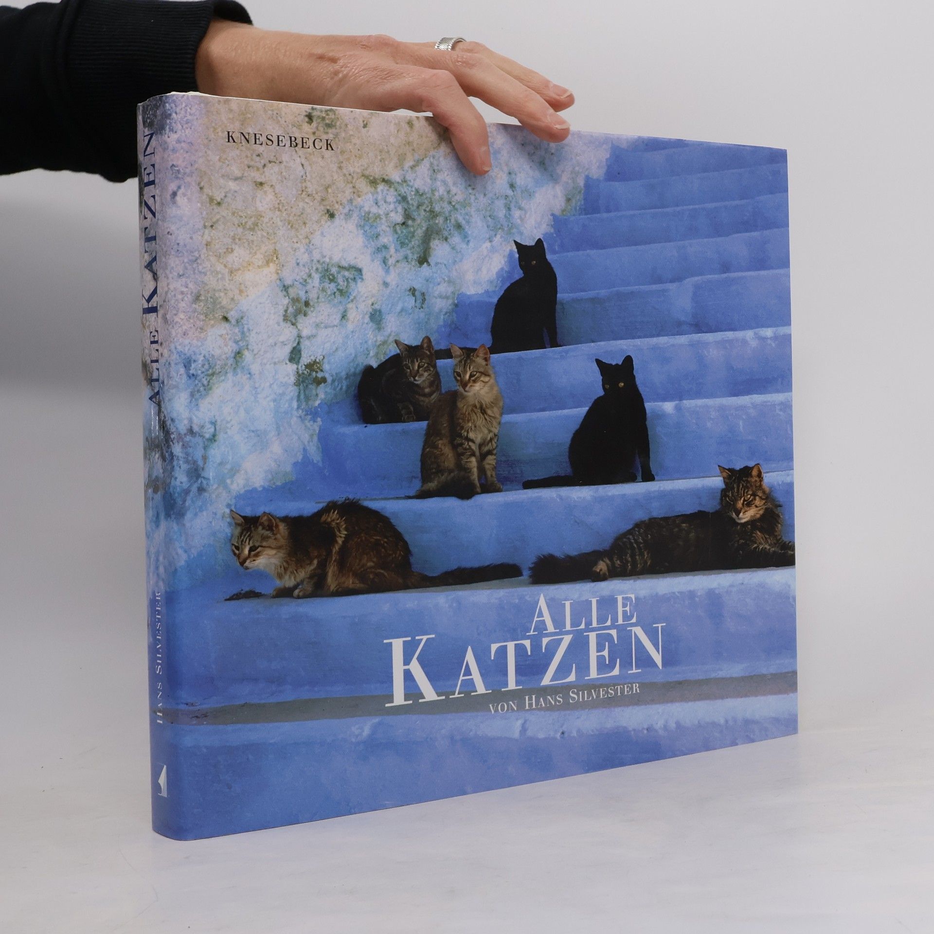 Hans Silvester Alle Katzen