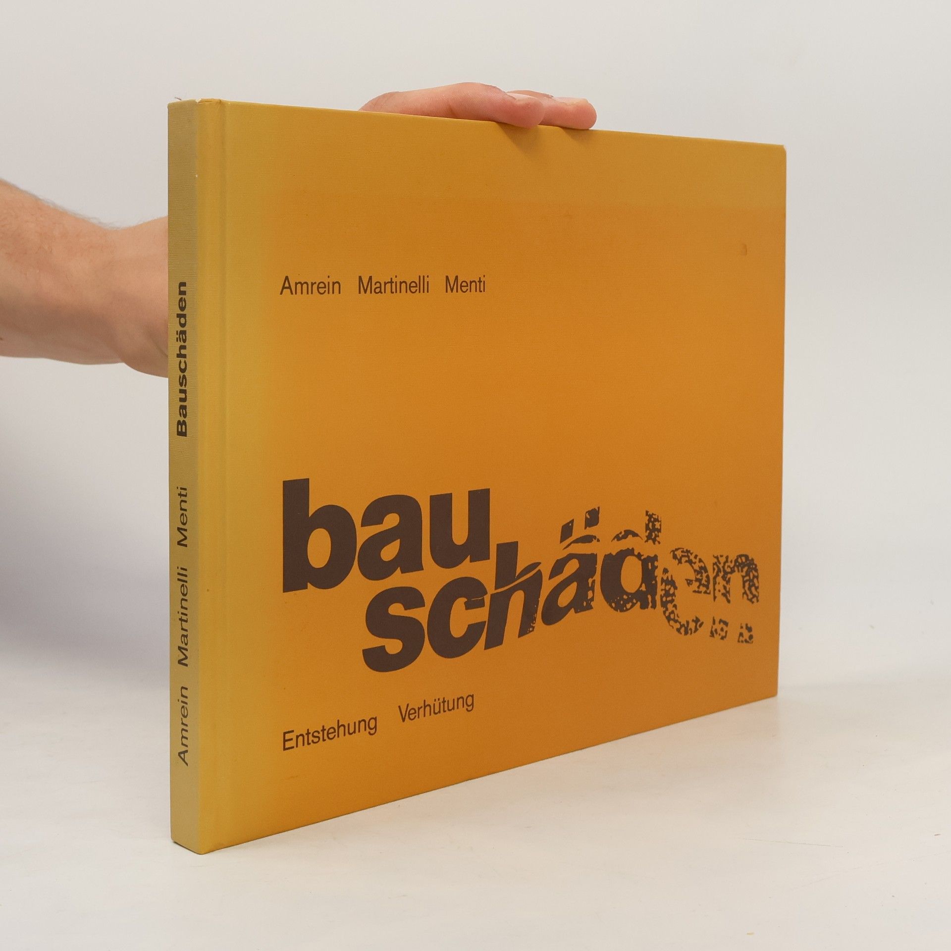 Reto Martinelli Bauschäden