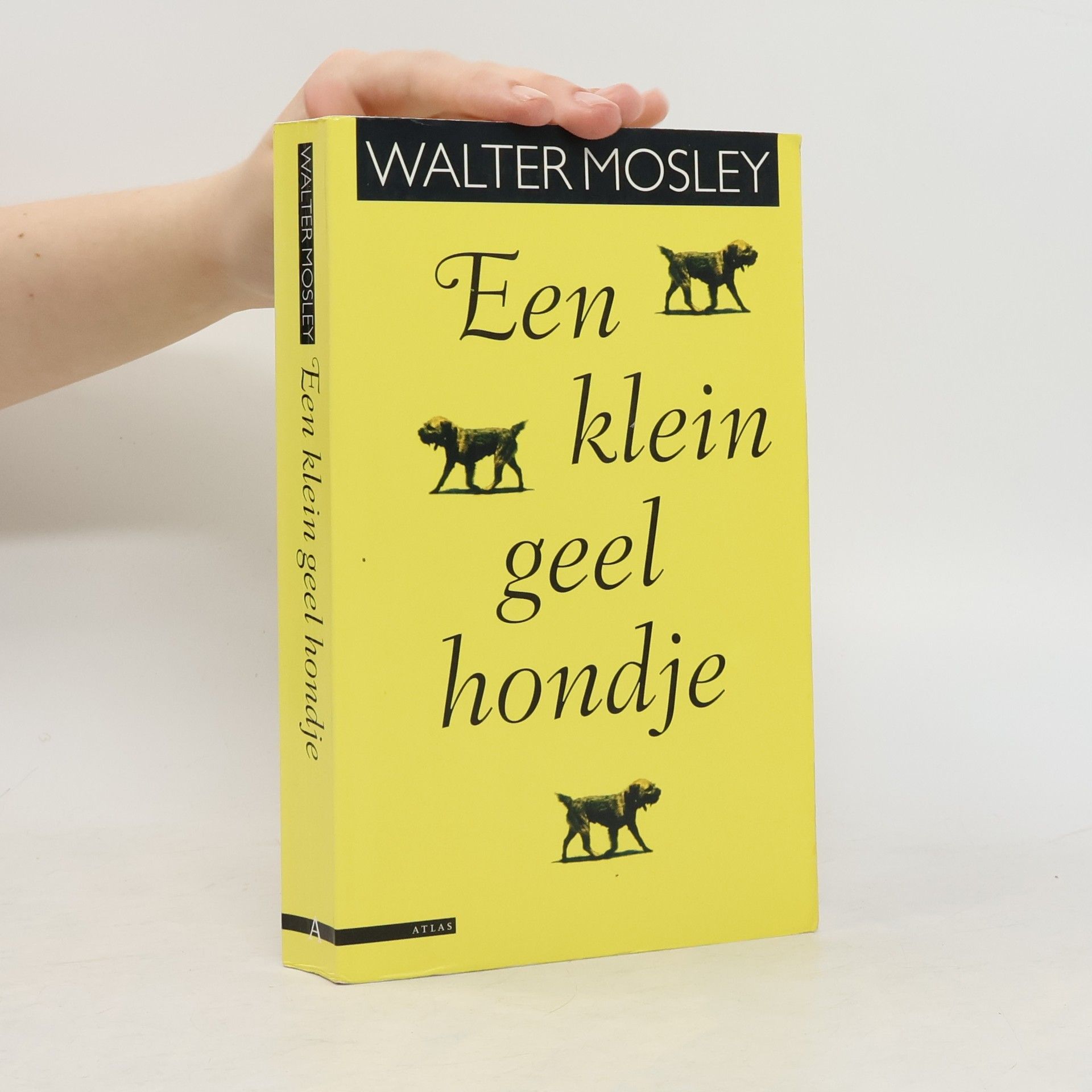 Dick Lievaart Een klein geel hondje