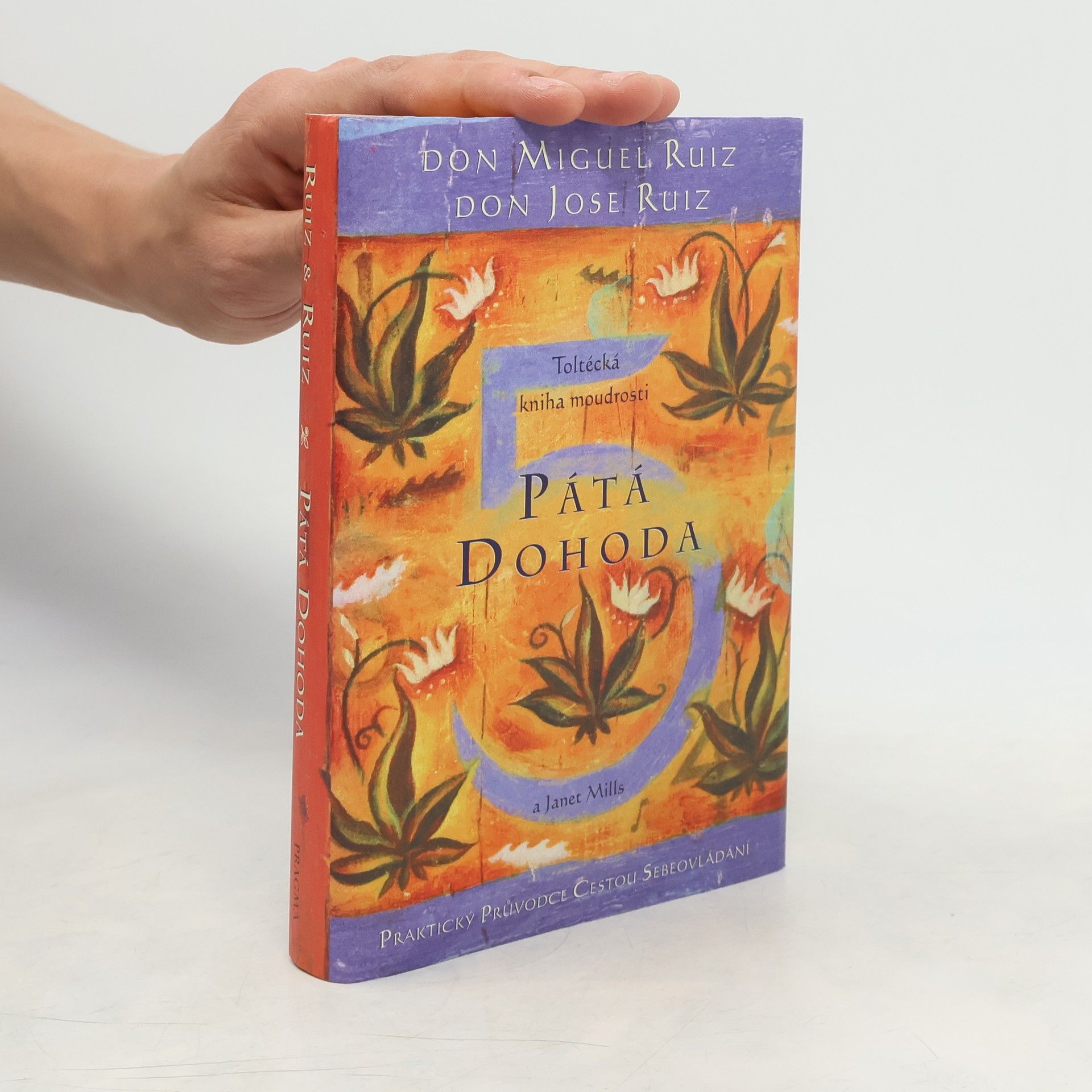 Don Miguel Ruiz Pátá dohoda