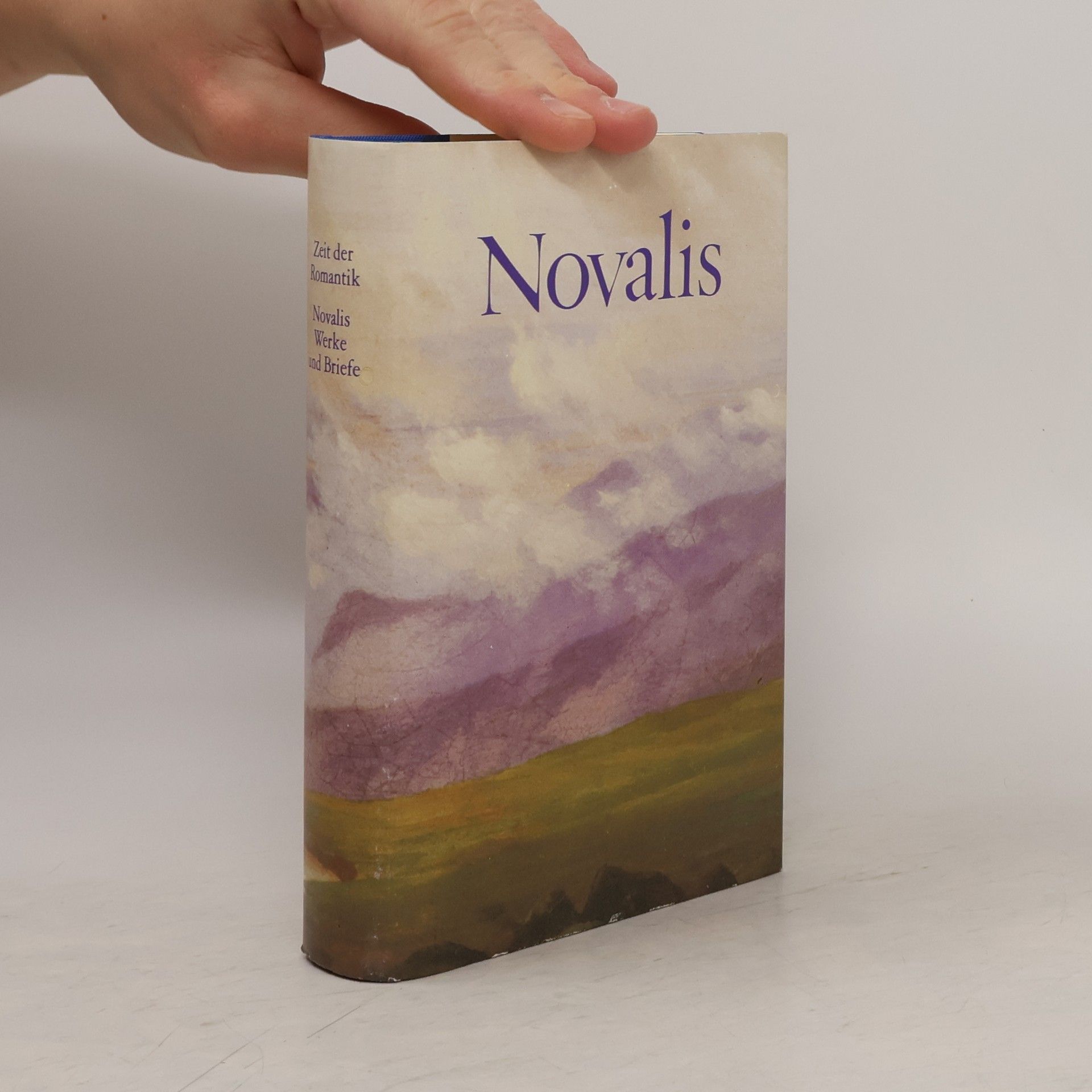 Novalis: Werke und Briefe