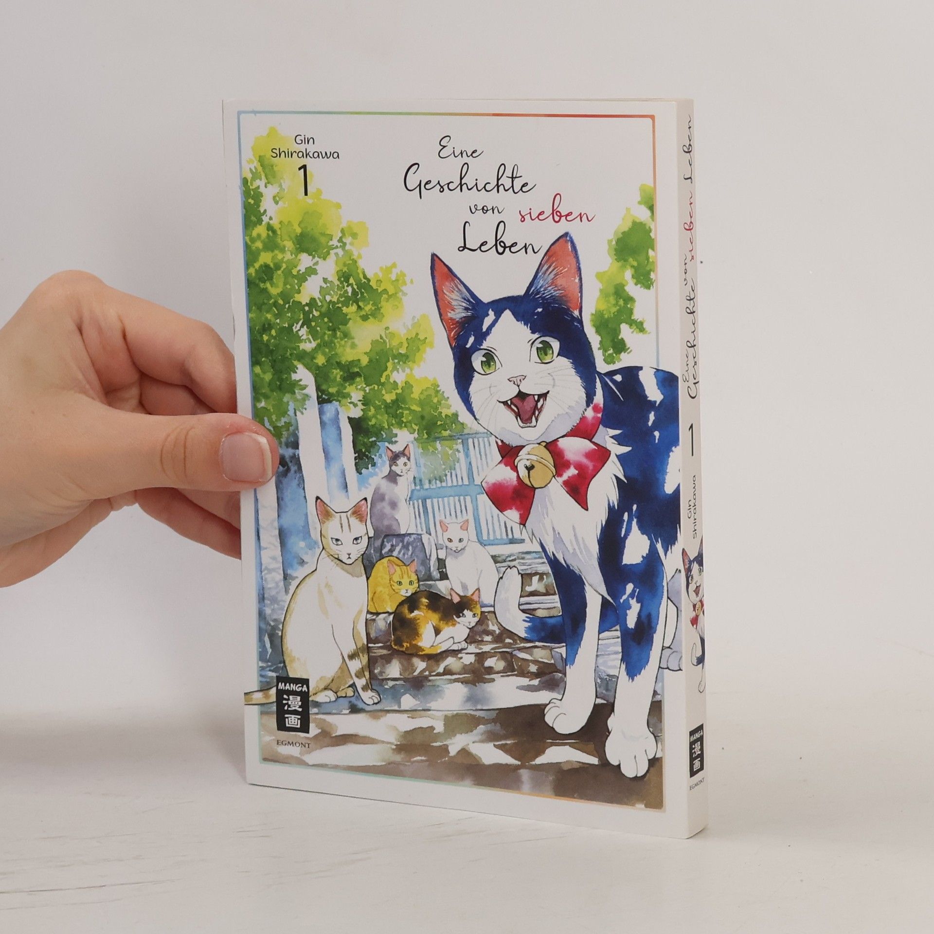 Gin Shirakawa Eine Geschichte von sieben Leben 01