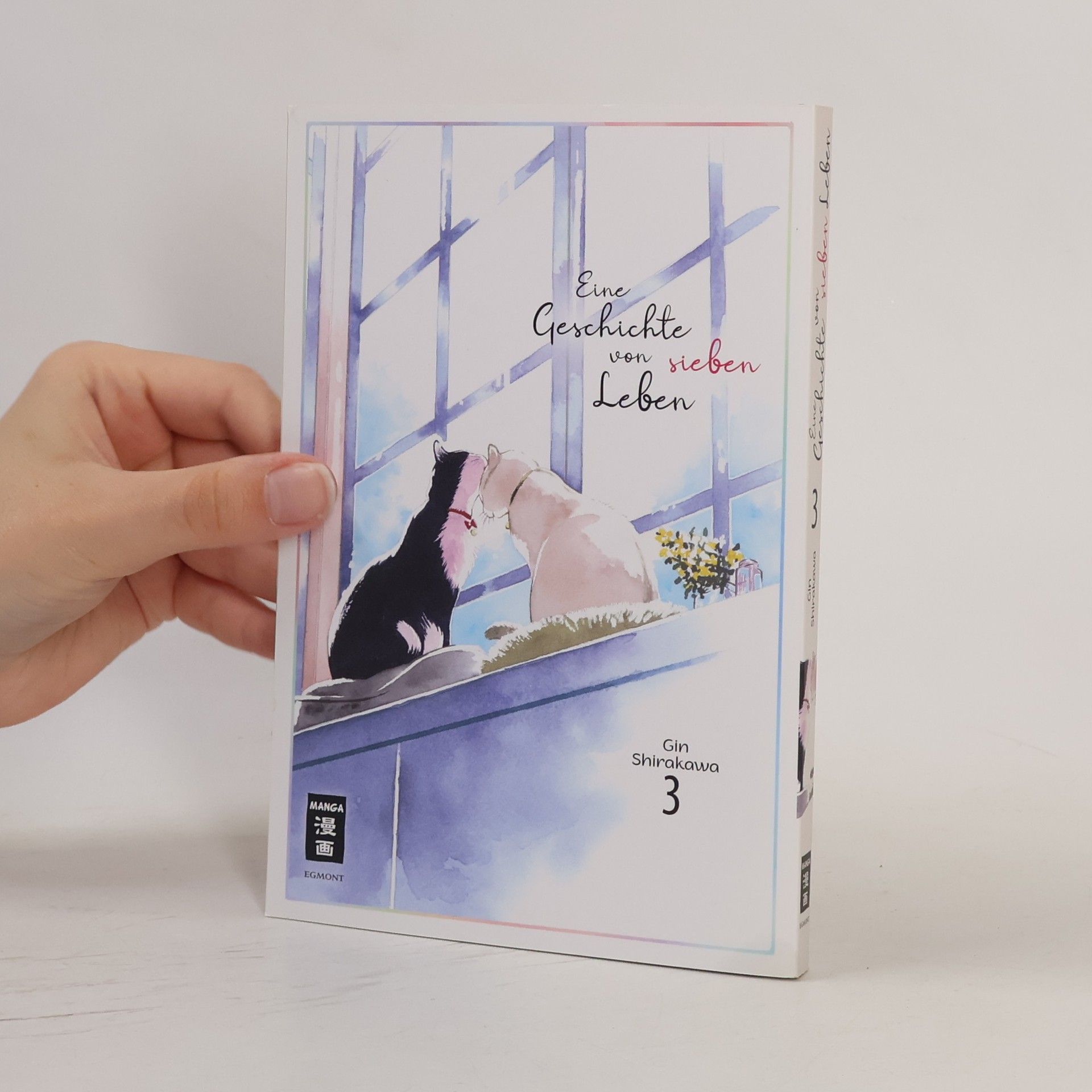 Gin Shirakawa Eine Geschichte von sieben Leben 03