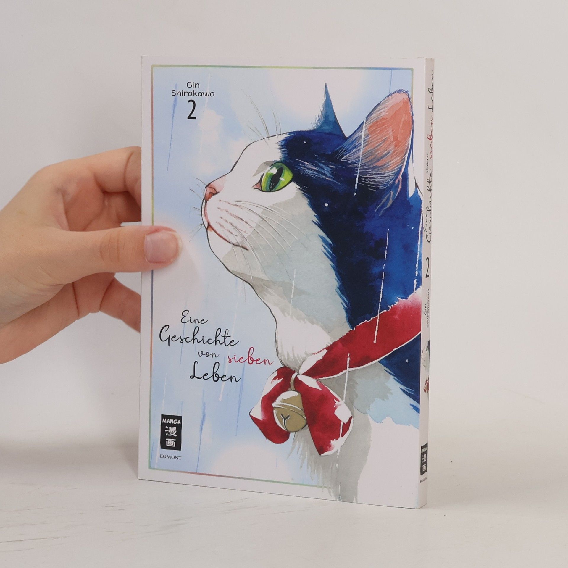 Gin Shirakawa Eine Geschichte von sieben Leben 02