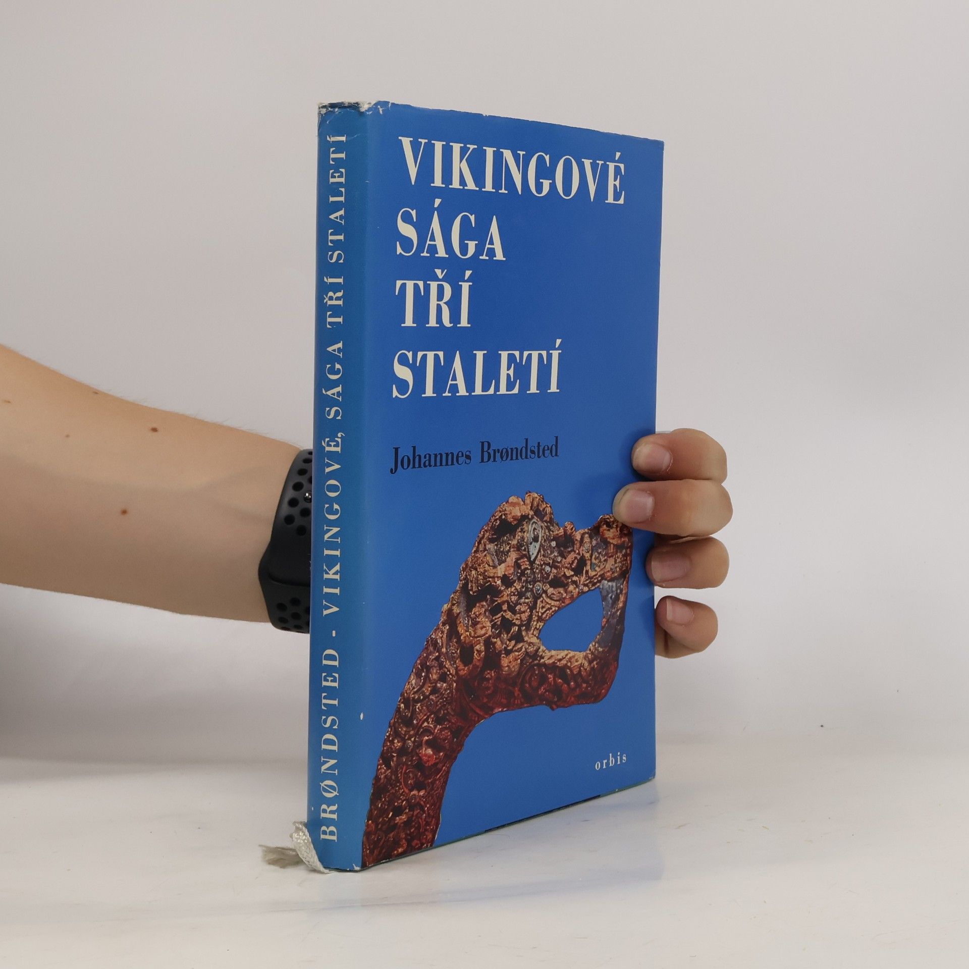Johannes Brondsted Vikingové. Sága tří staletí