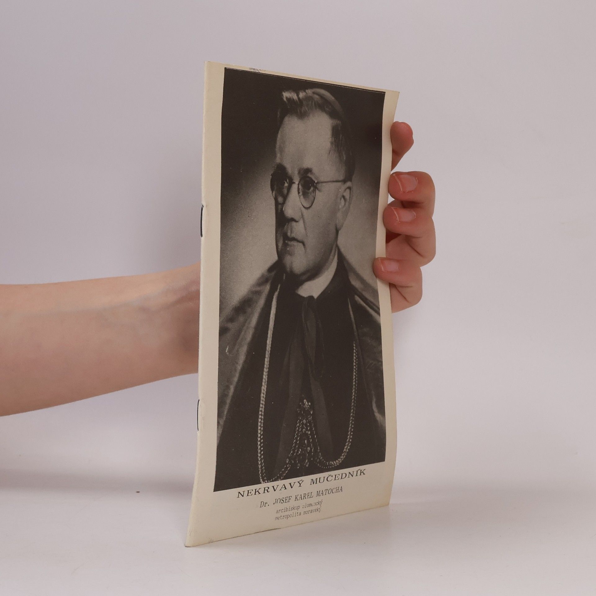 Collectif d'auteurs Nekrvavý mučedník