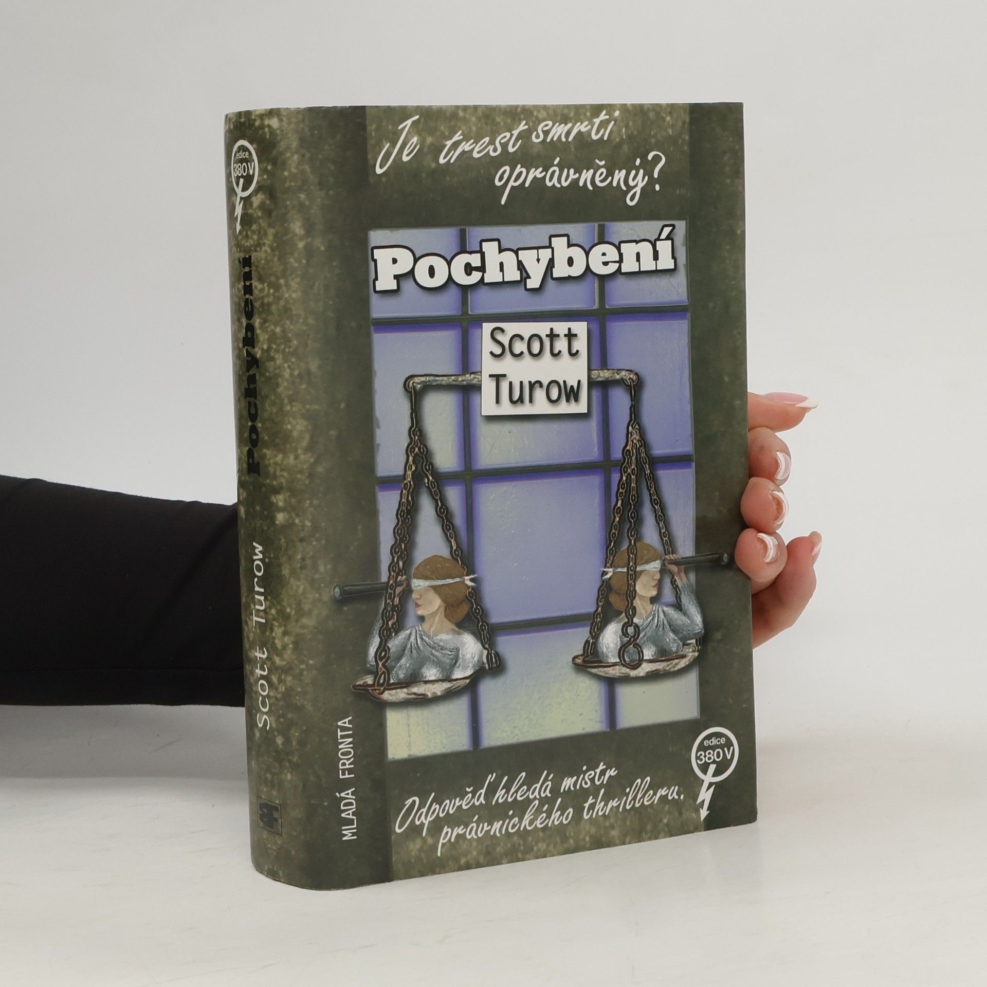 Scott Turow Pochybení