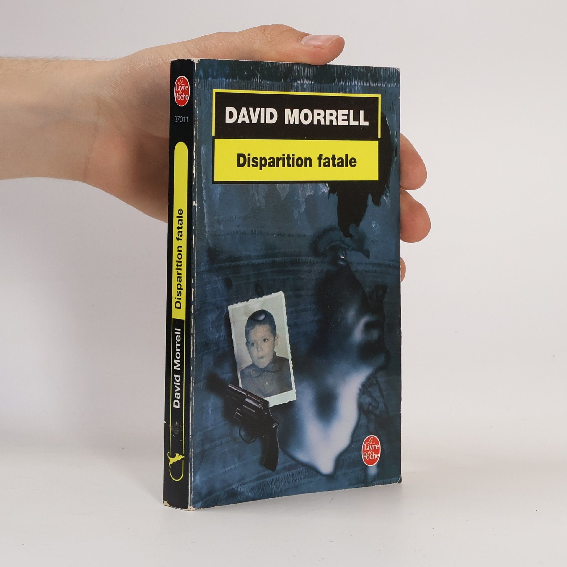 David Morrell Disparition fatale