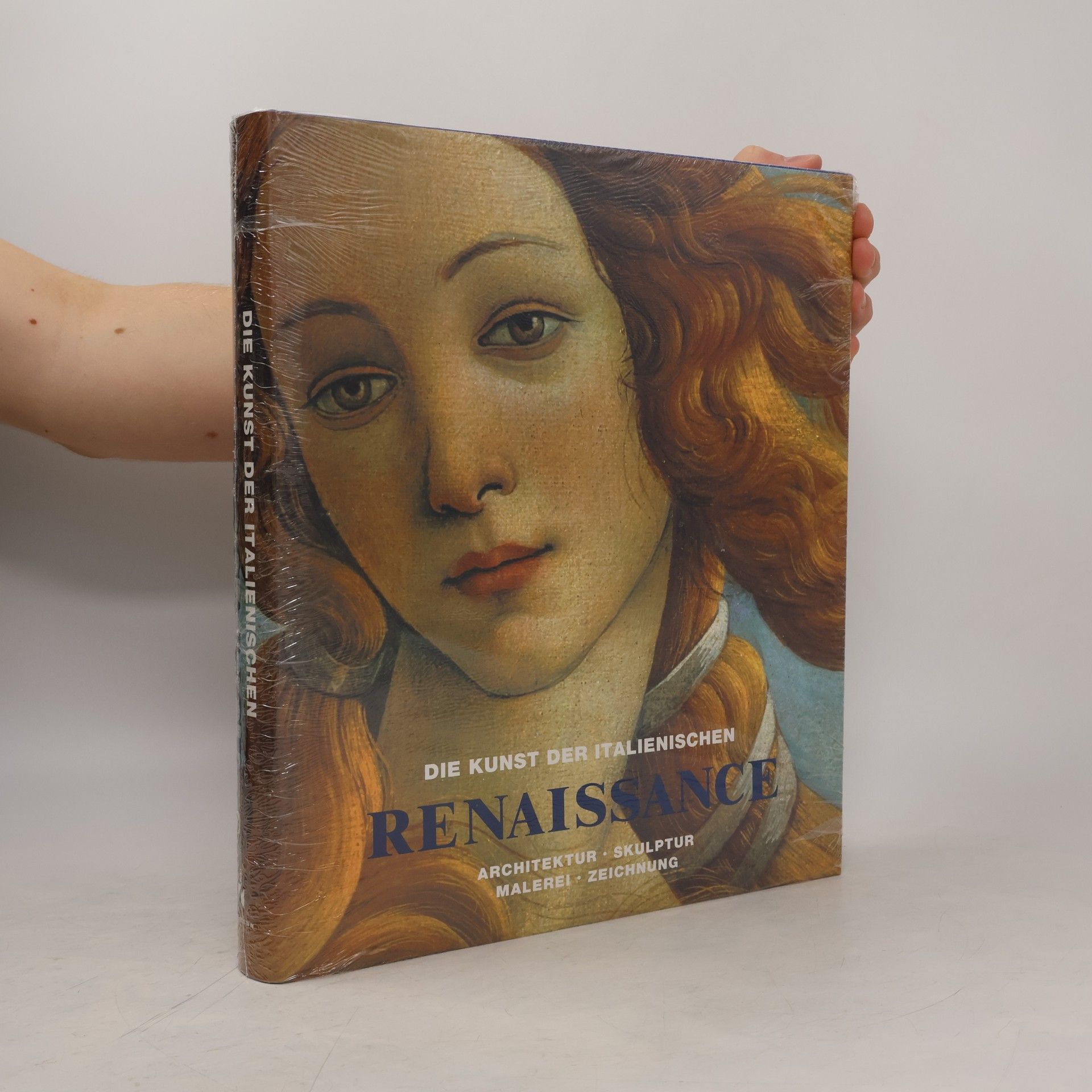 Die Kunst Der Italienischen Renaissance