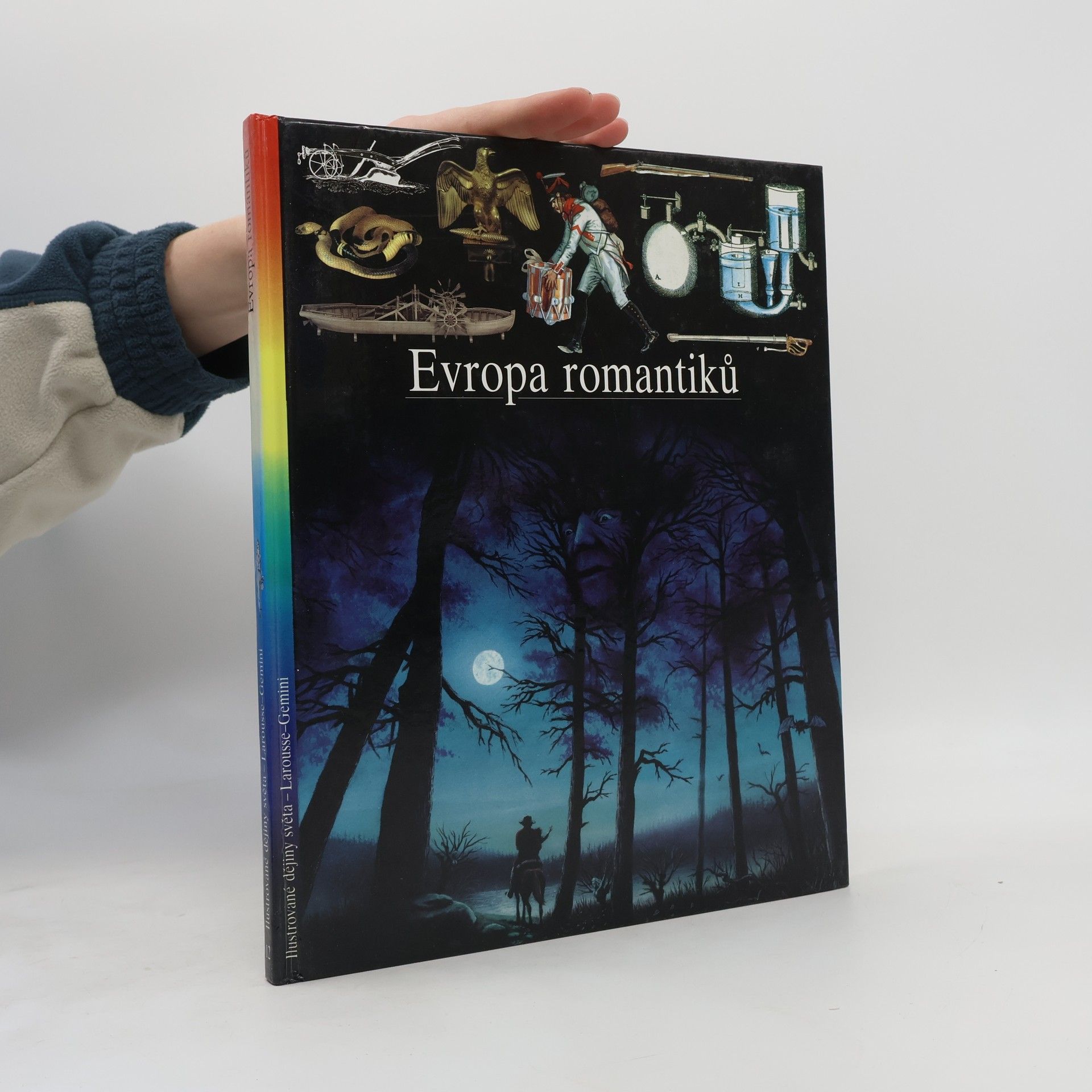Kolektiv autorů Evropa romantiků