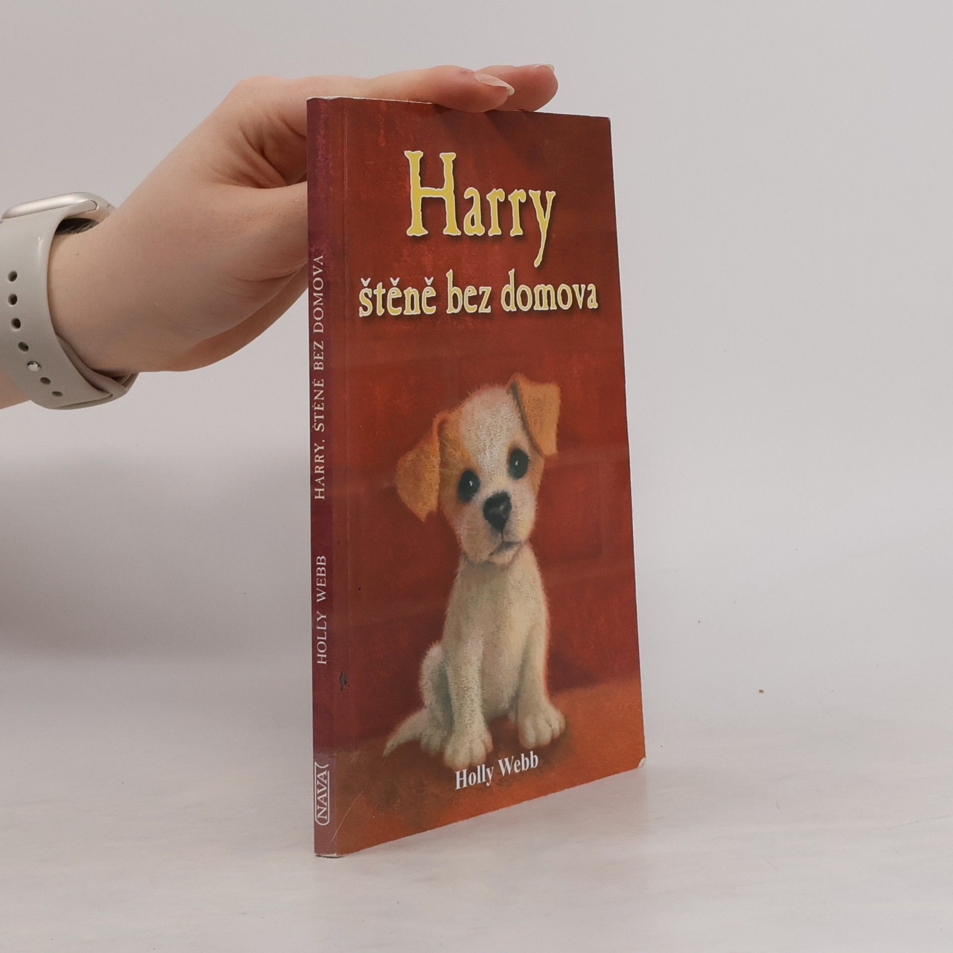 Holly Webb Harry, štěně bez domova