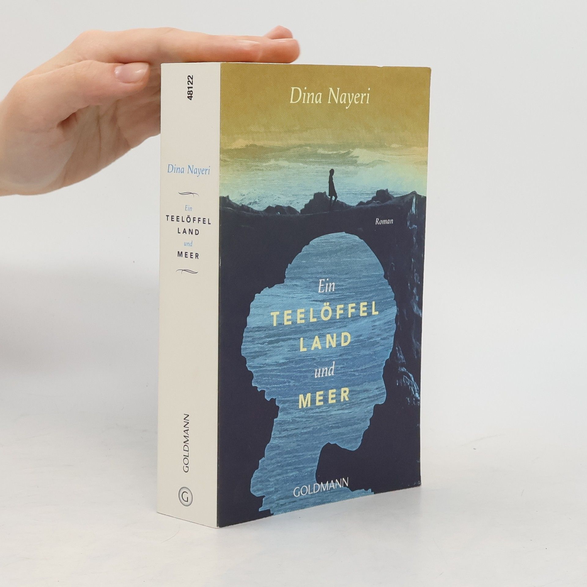 Dina Nayeri Ein Teelöffel Land und Meer