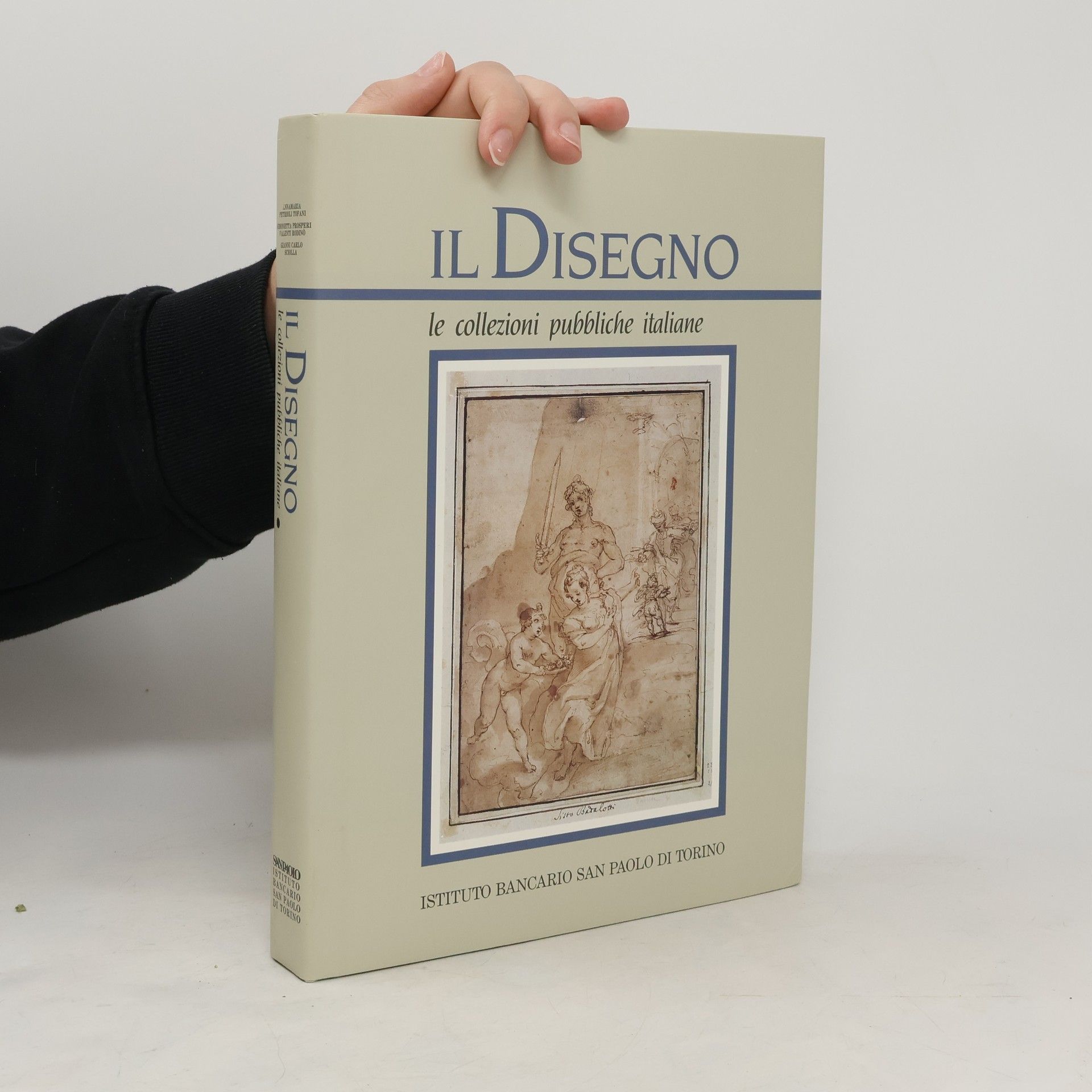 Autorenkollektiv Il Disegno le collezioni pubbliche italiane