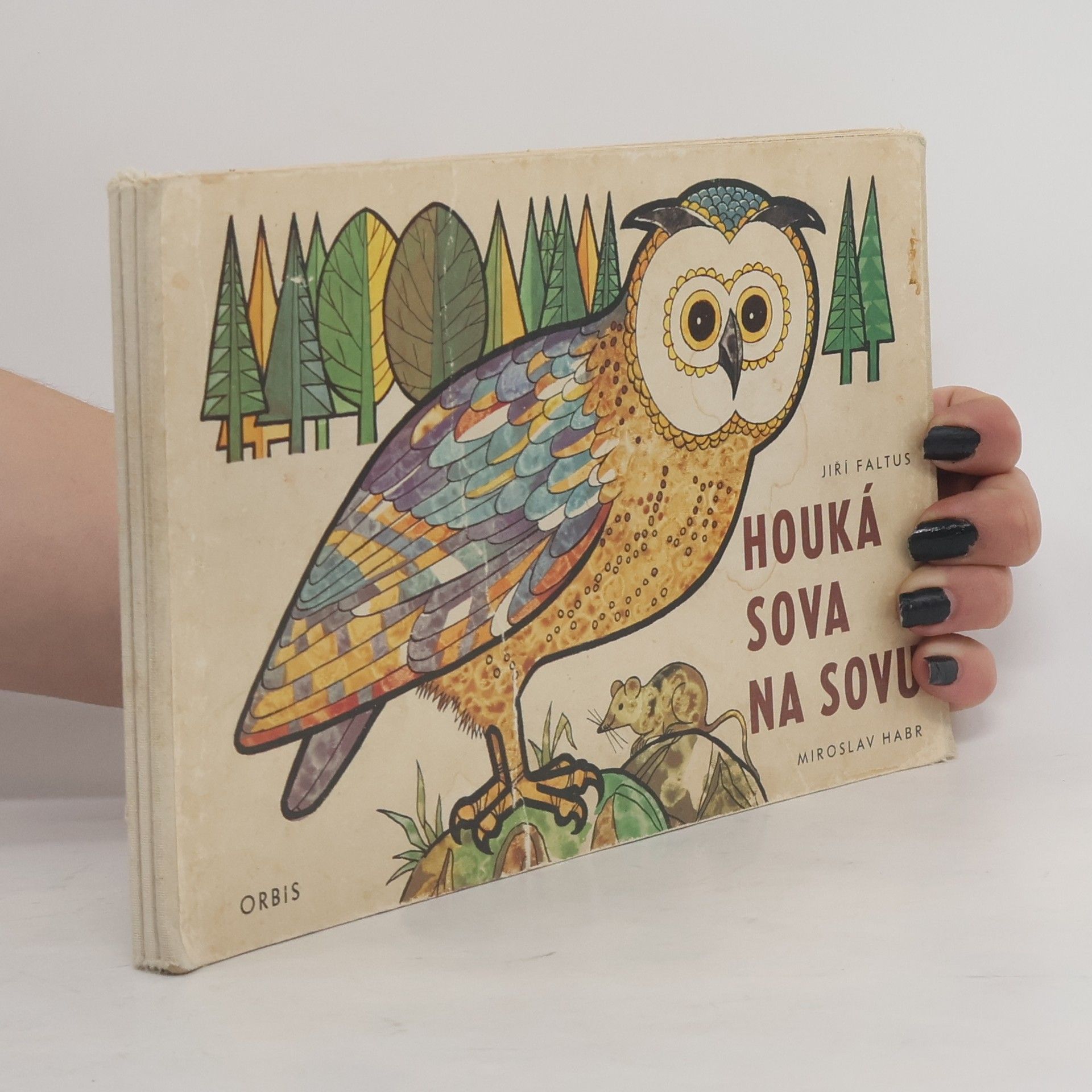 Houká sova na sovu