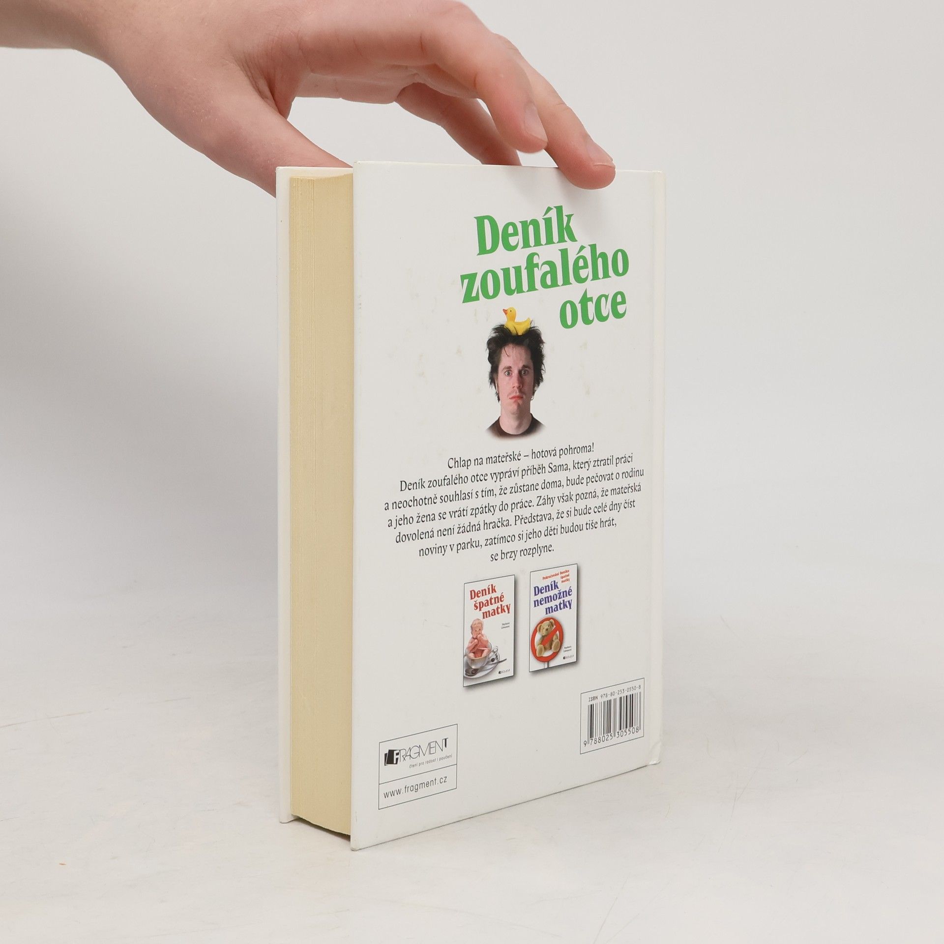 Sam Holden Deník zoufalého otce. Táta na mateřské