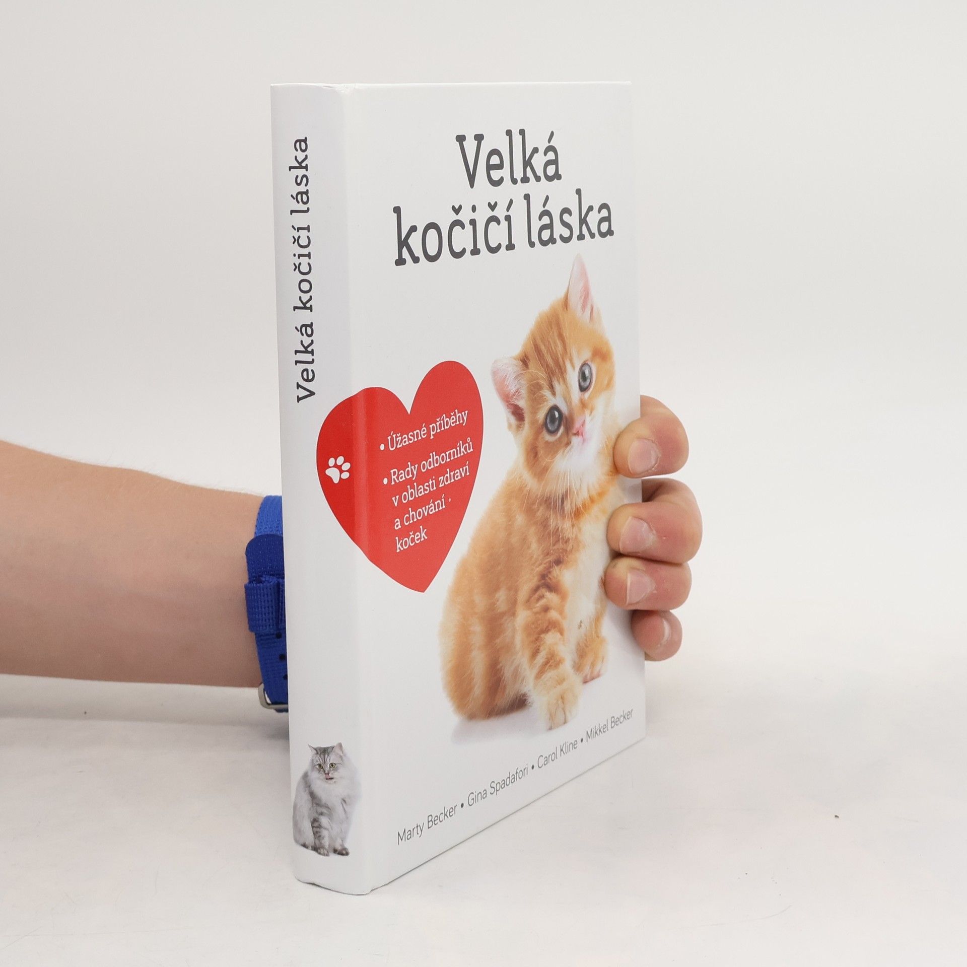 Marty Becker Velká kočičí láska