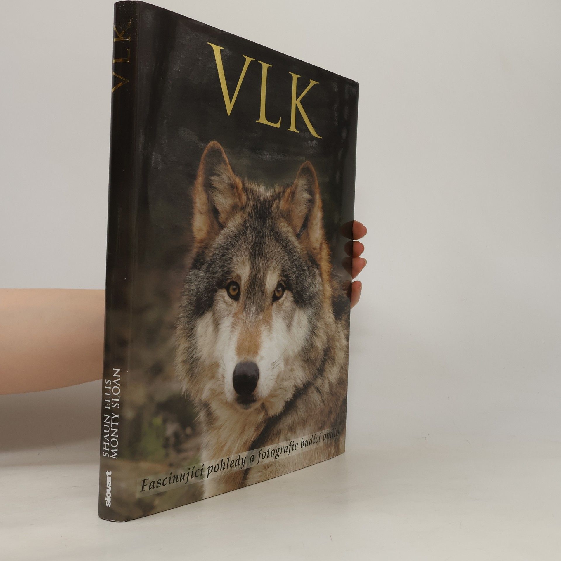 Shaun Ellis Vlk: Fascinující pohledy a fotografie budící obdiv