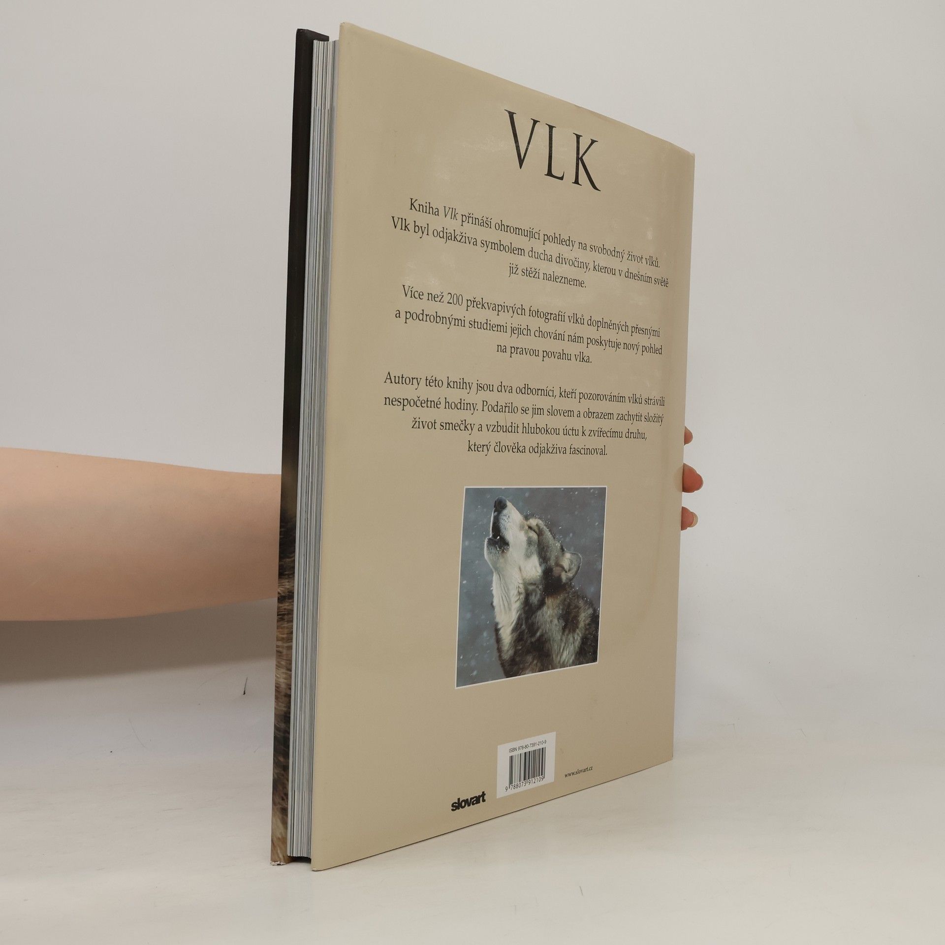 Shaun Ellis Vlk: Fascinující pohledy a fotografie budící obdiv