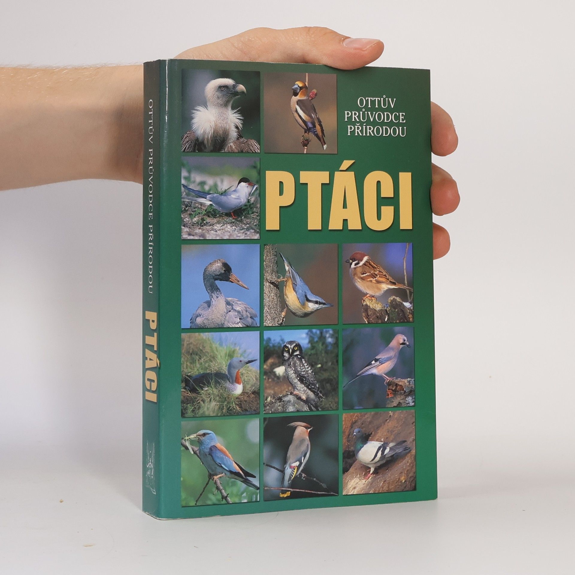 Alena Červená Ptáci - Ottův průvodce přírodou