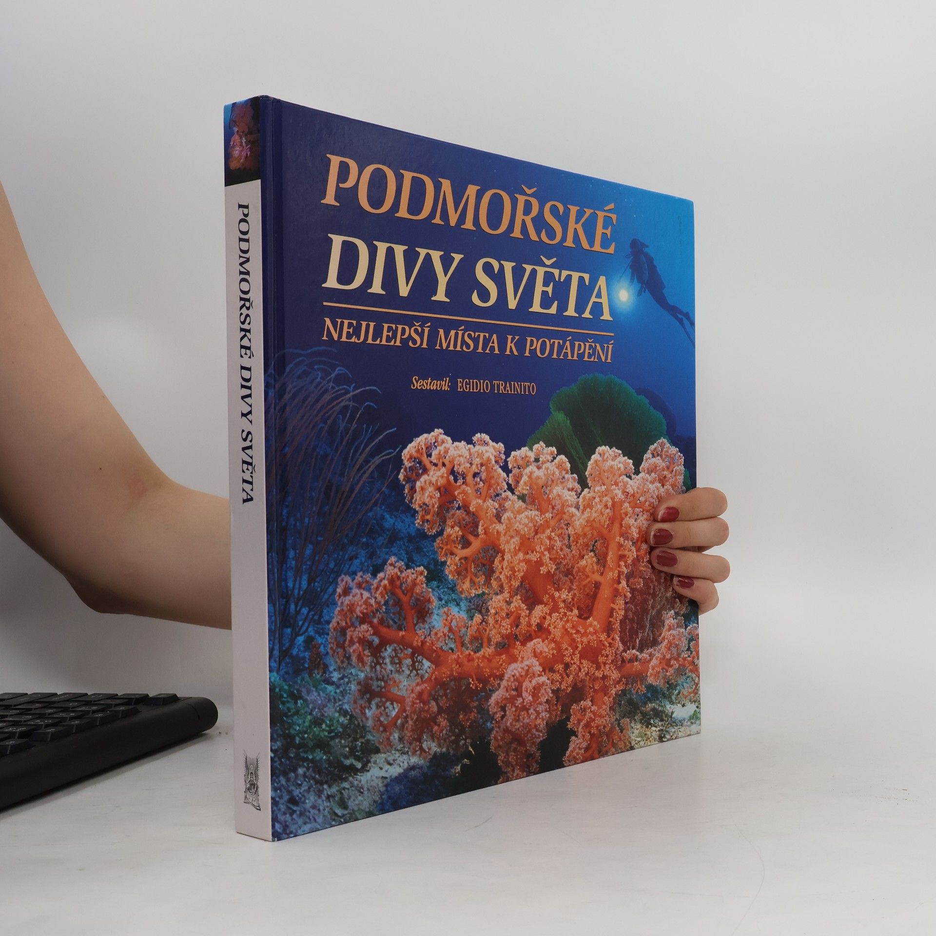Kurt Amsler Podmořské divy světa. Nejlepší místa k potápění