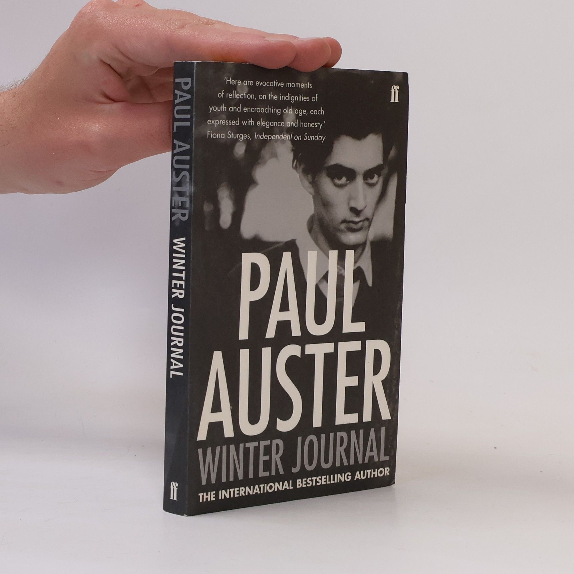 Paul Auster Winter journal