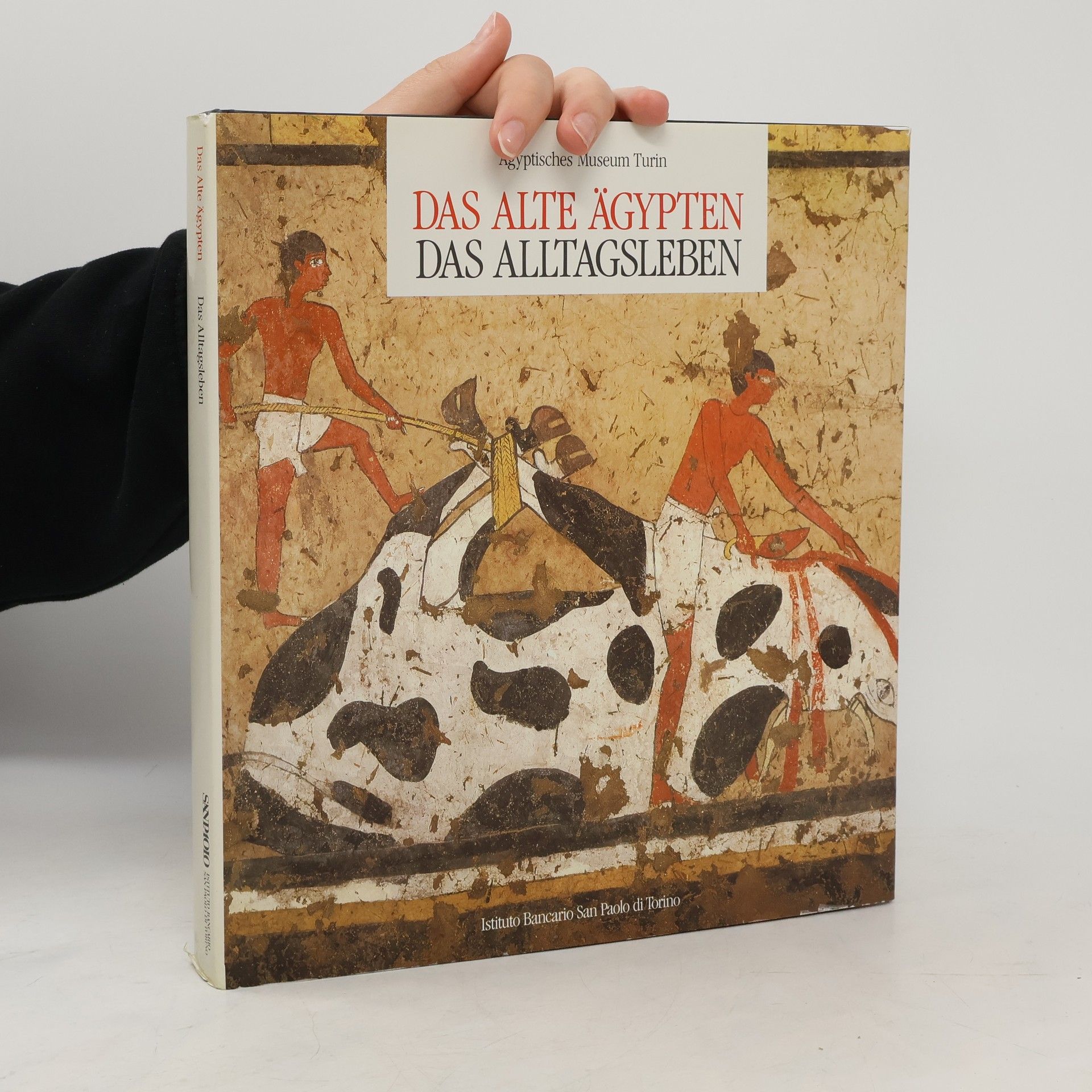 Autorenkollektiv Das Alte Ägypten. Das Alltagsleben