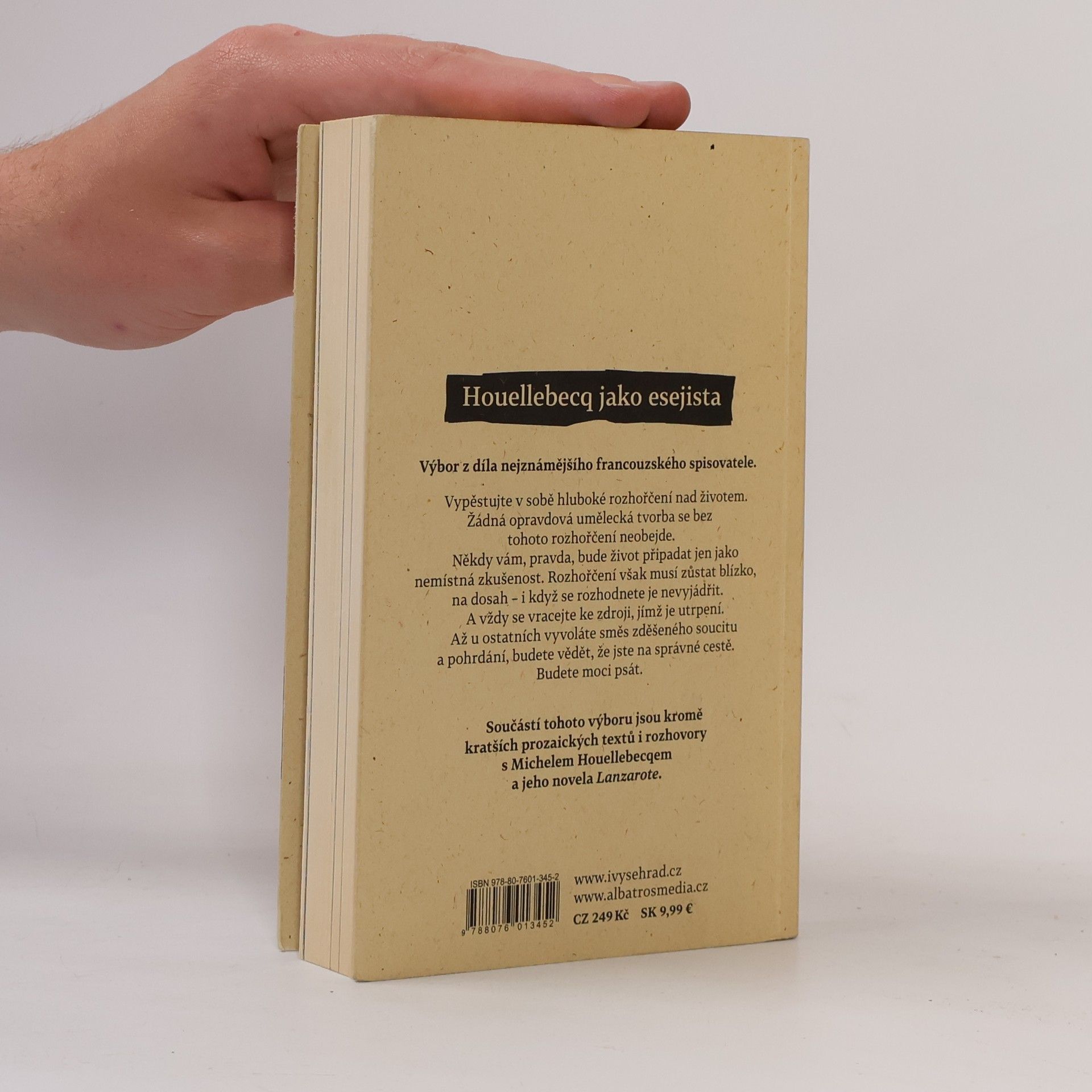 Michel Houellebecq Eseje