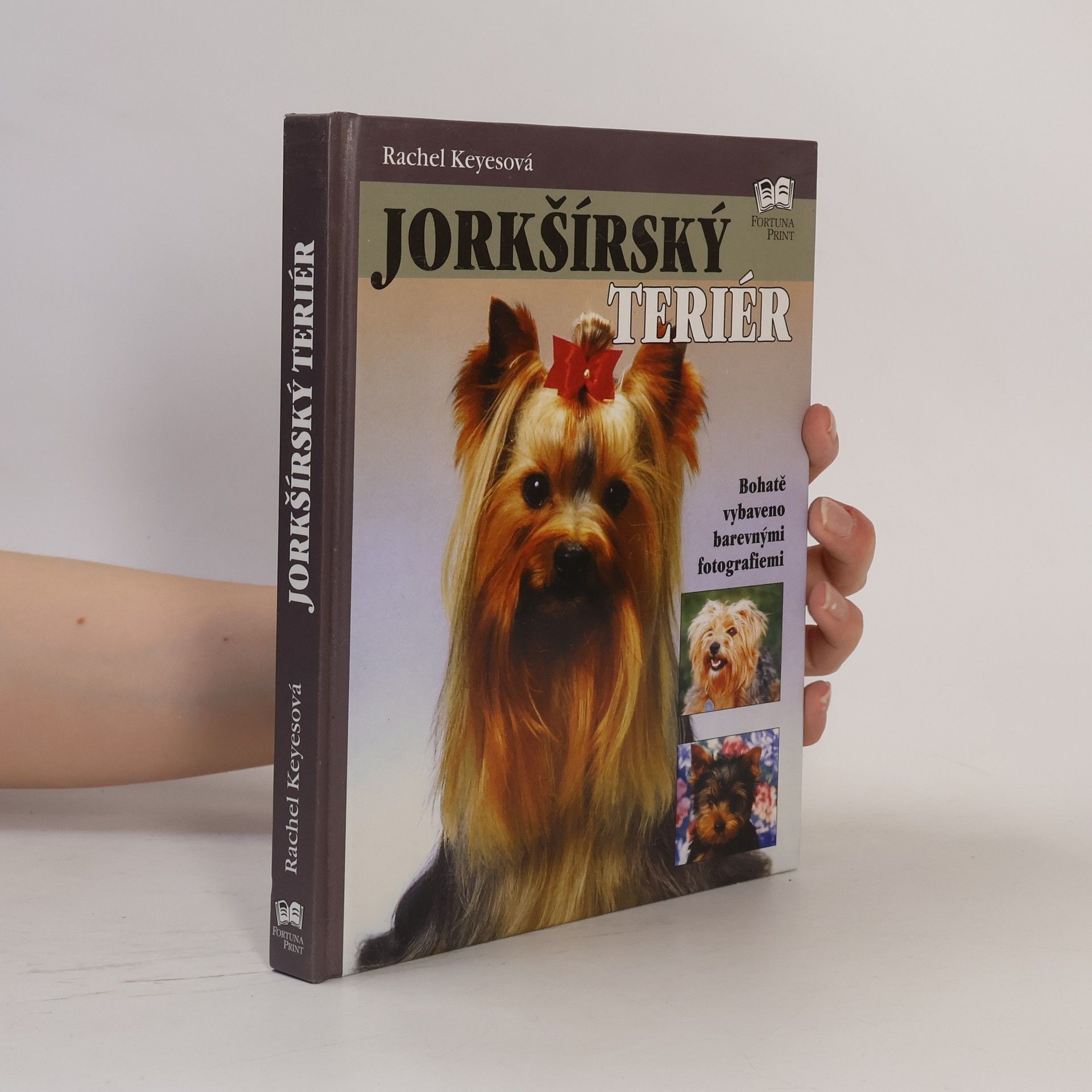 Rachel Keyes Jorkšírský teriér