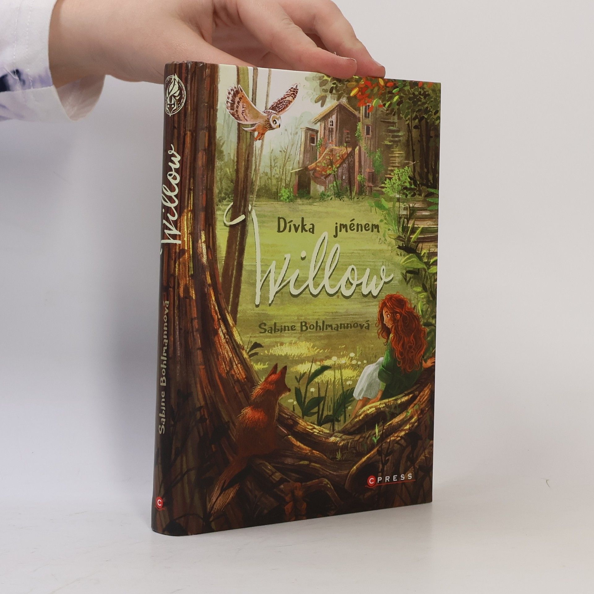 Sabine Bohlmann Dívka jménem Willow