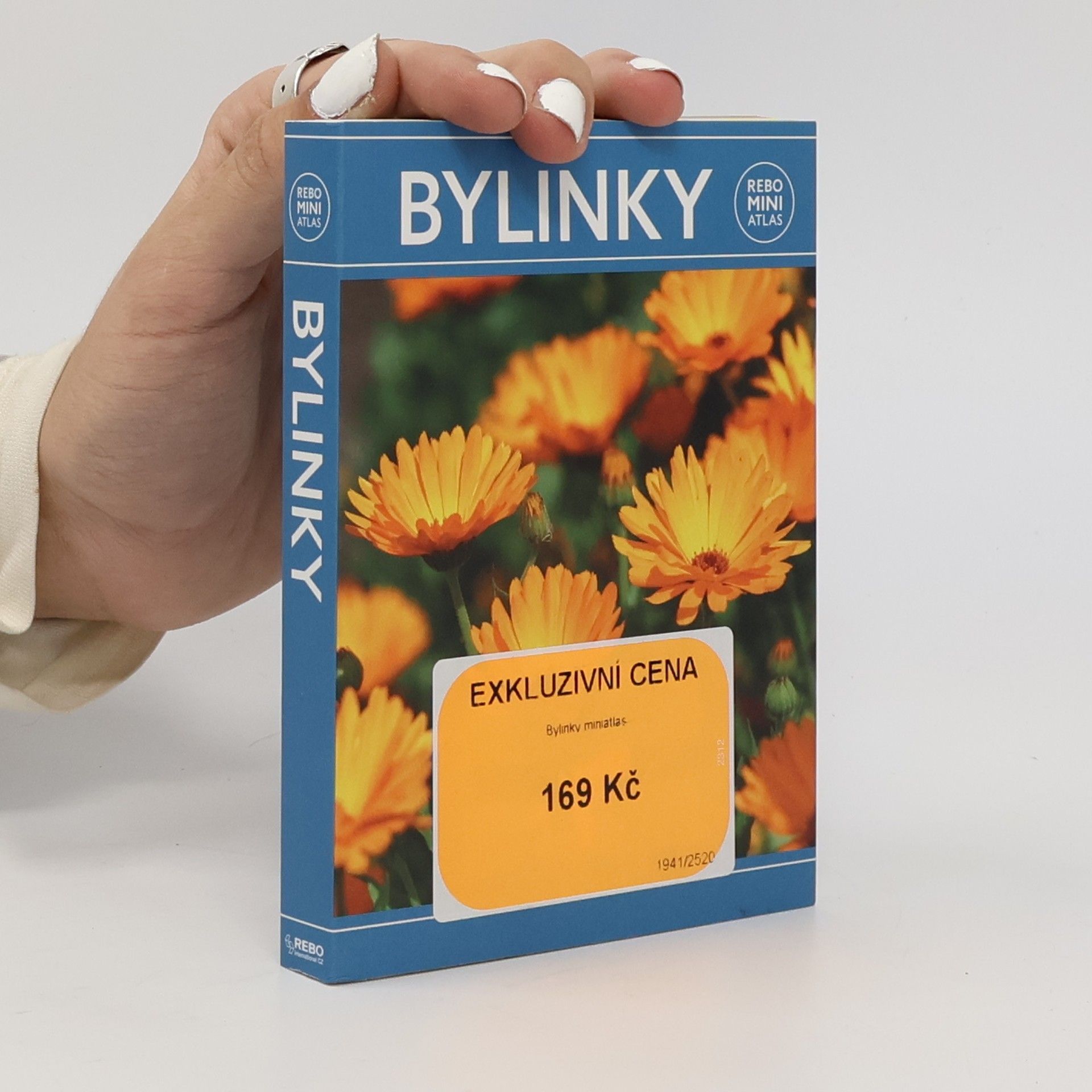 Hanneke van Dijk Bylinky