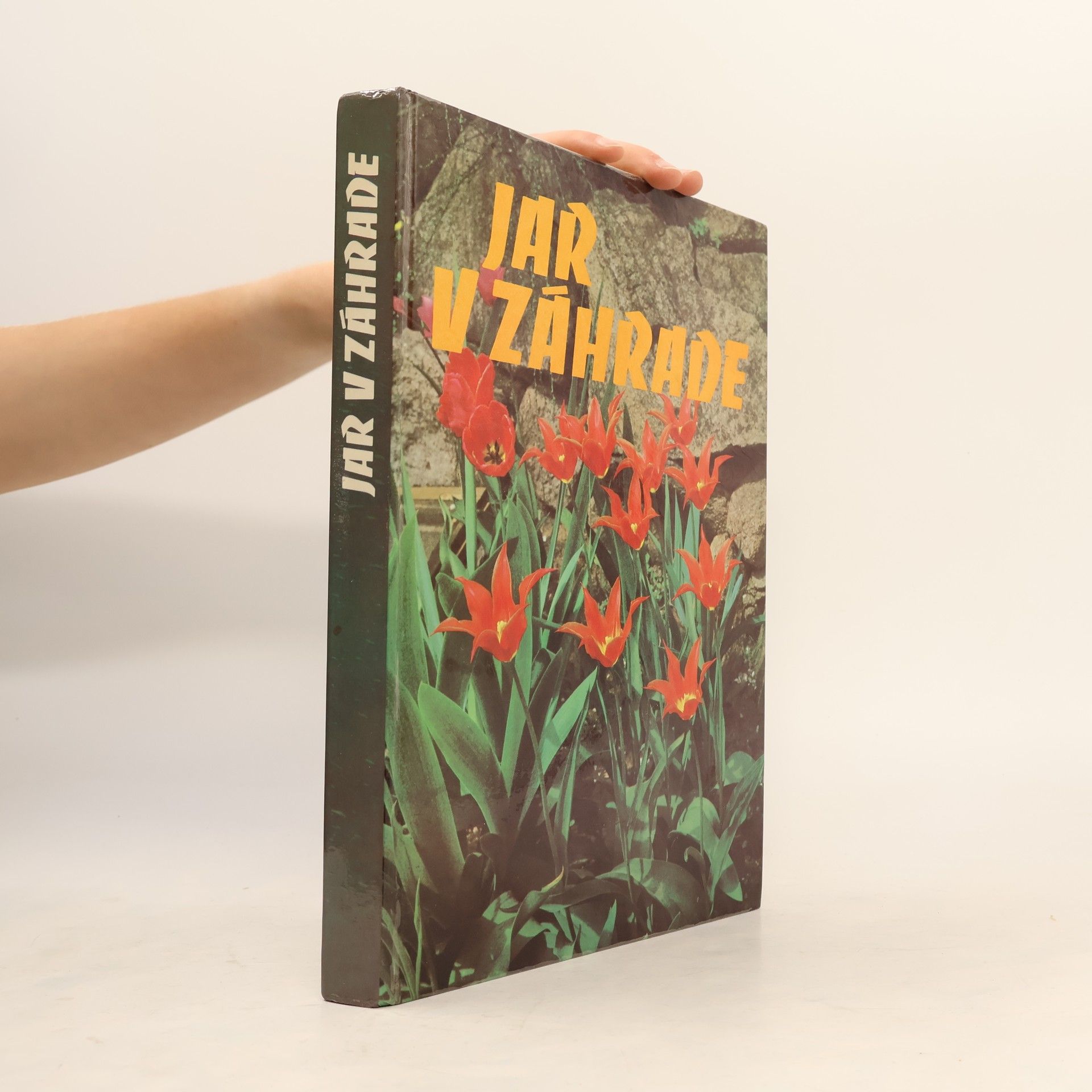 Collectif d'auteurs Jar v záhrade