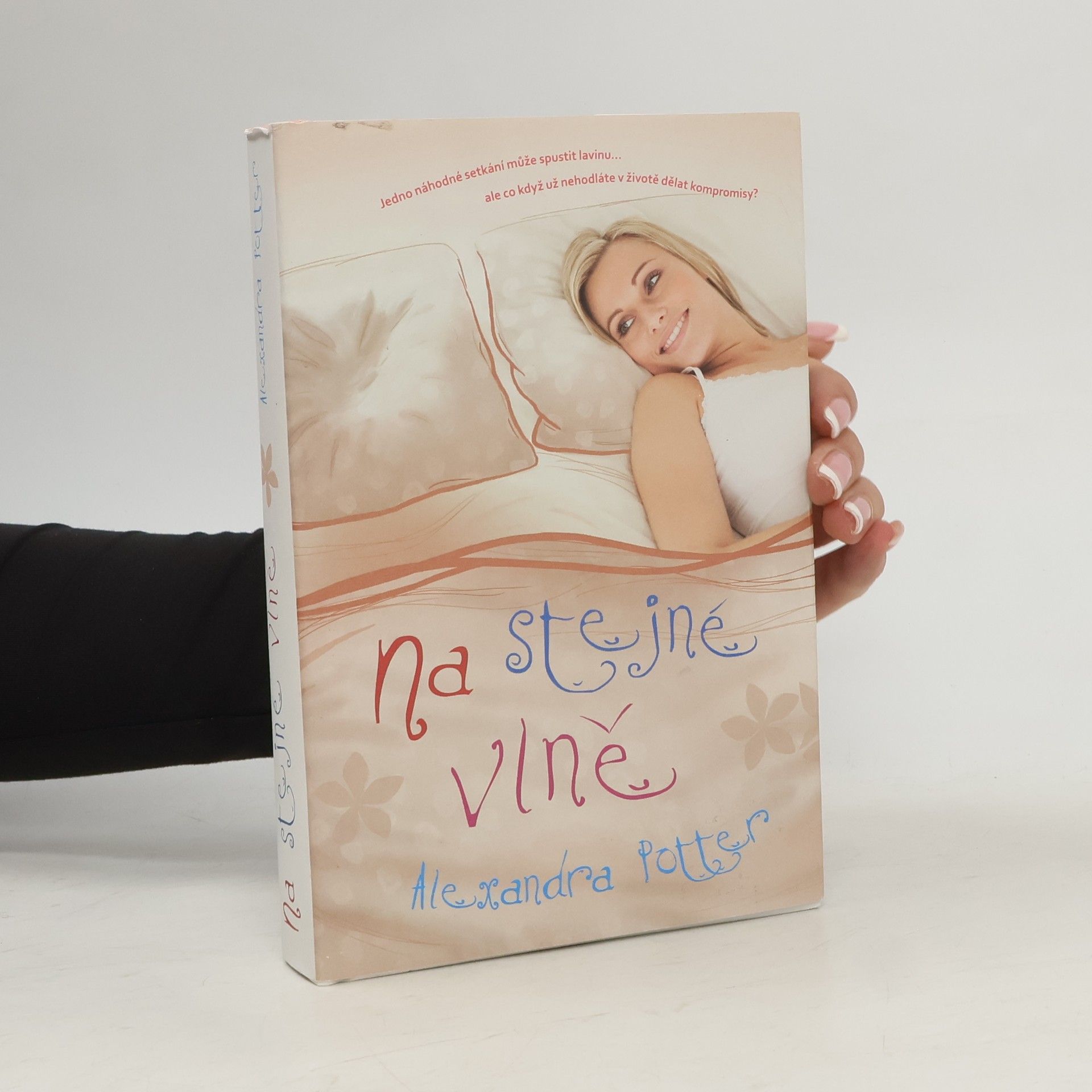 Alexandra Potter Na stejné vlně