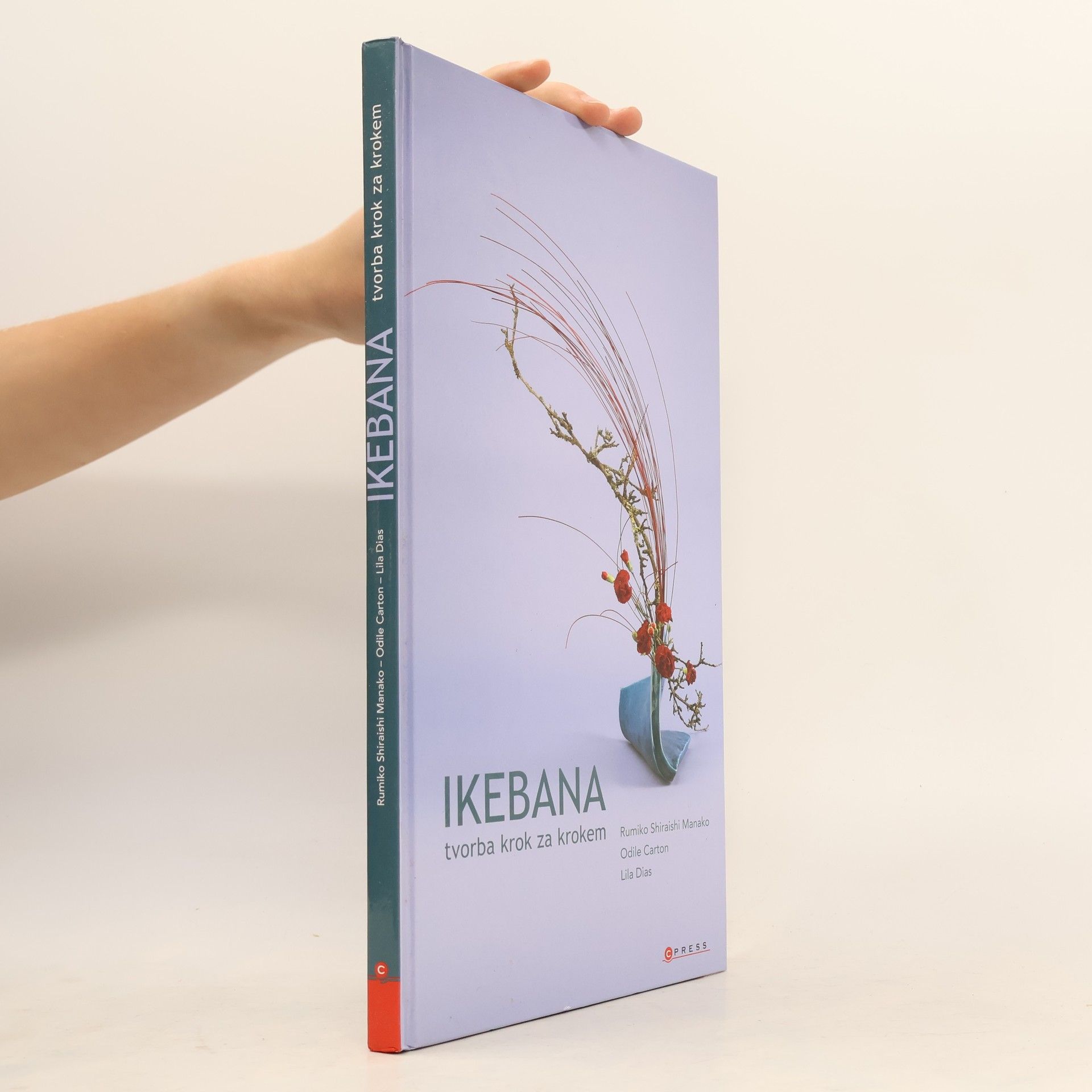 Manako Rumiko Shiraishi Ikebana. Tvorba krok za krokem