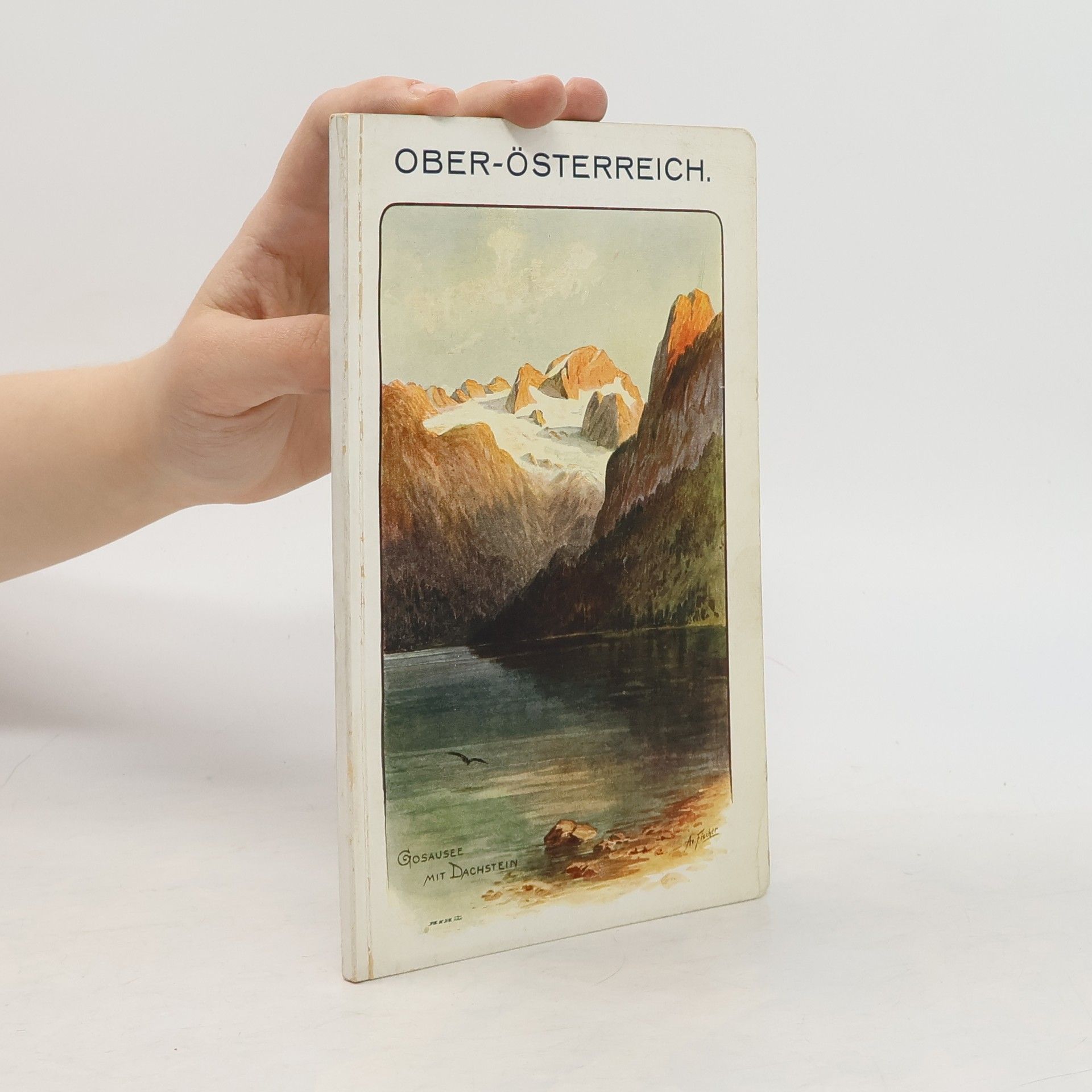 Autorenkollektiv Das Land Oberösterreich