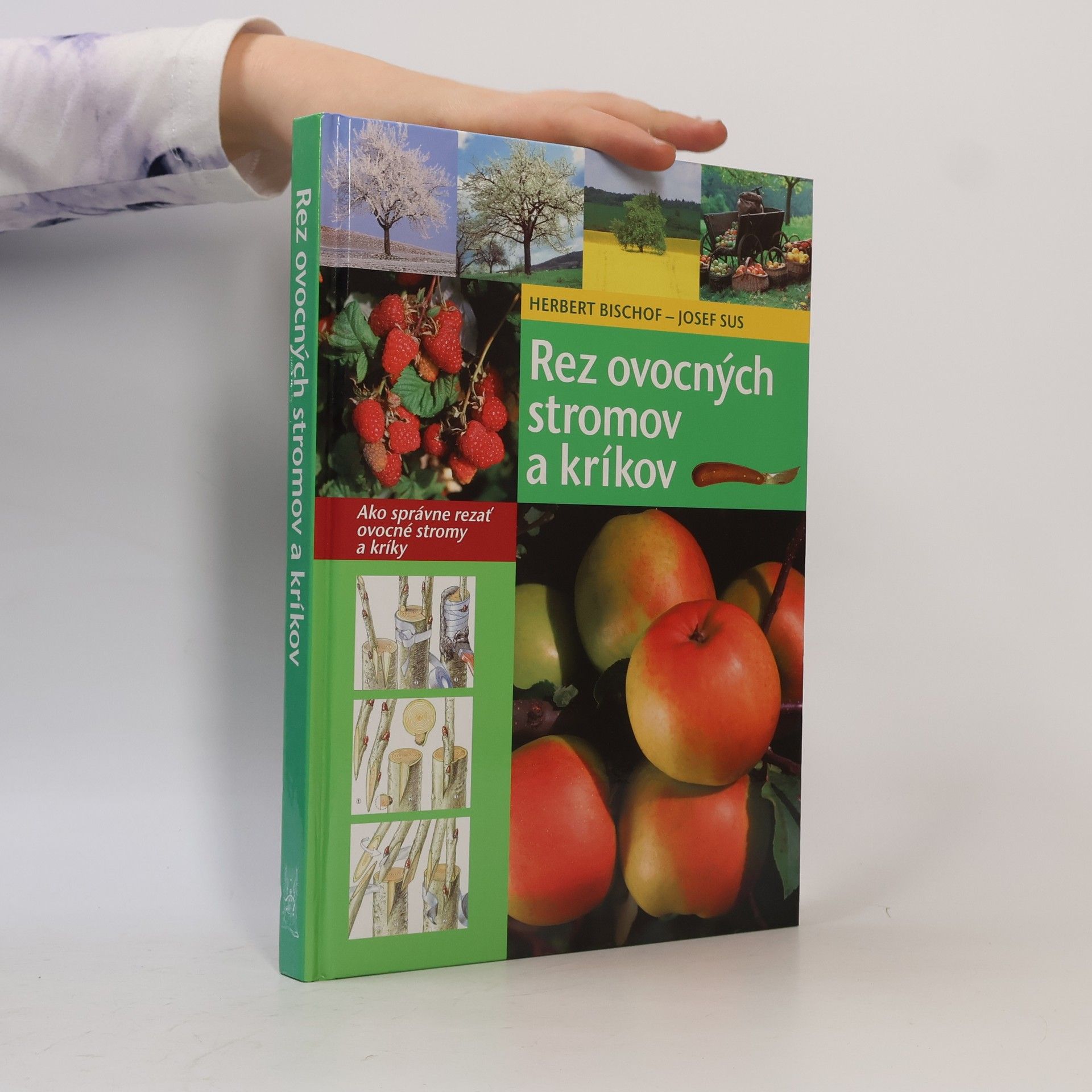 Rez ovocných stromov a kríkov