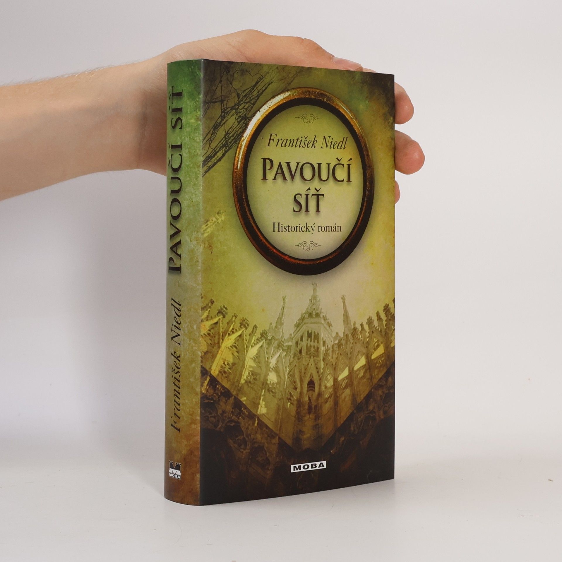 František Niedl Pavoučí síť : historický román