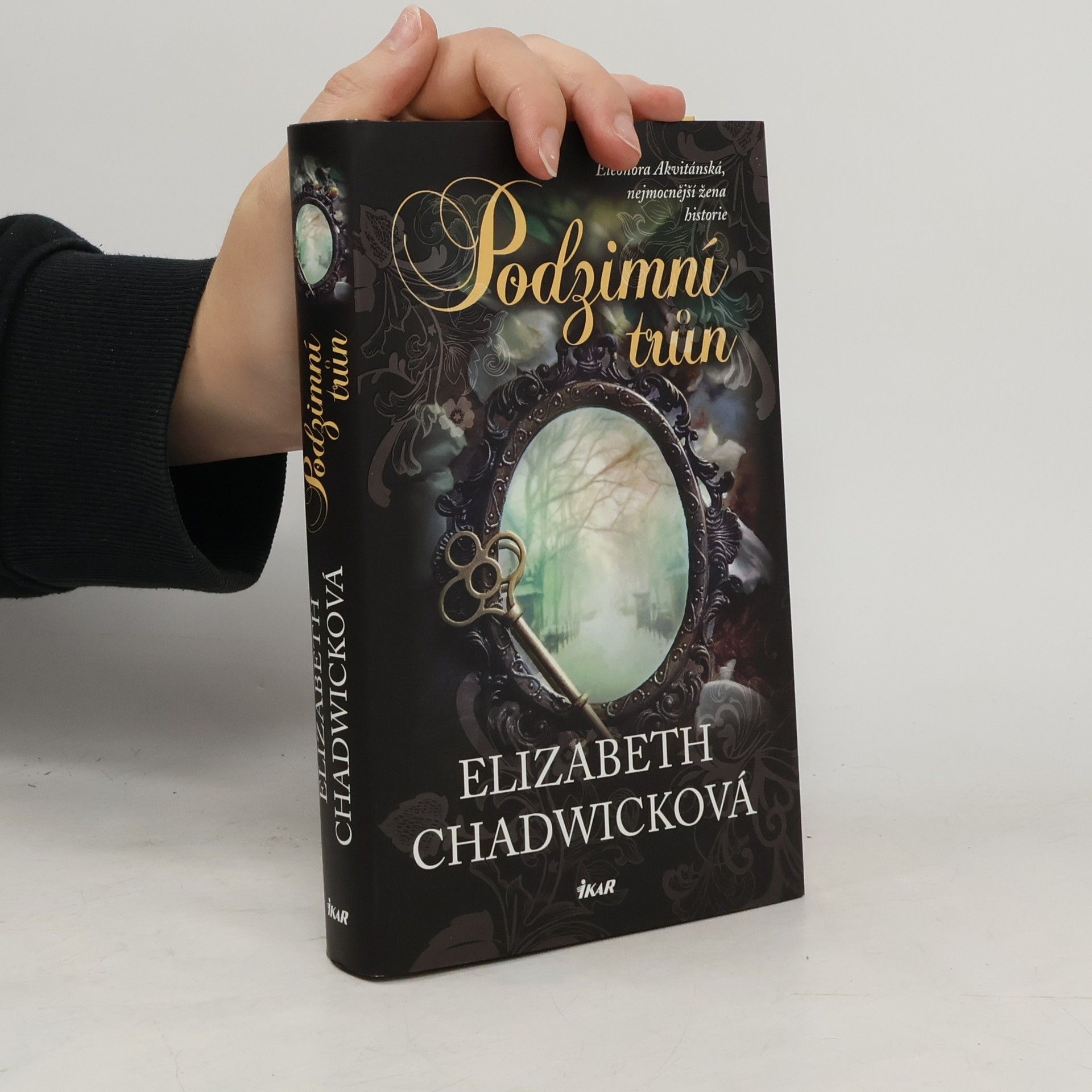 Elizabeth Chadwick Podzimní trůn