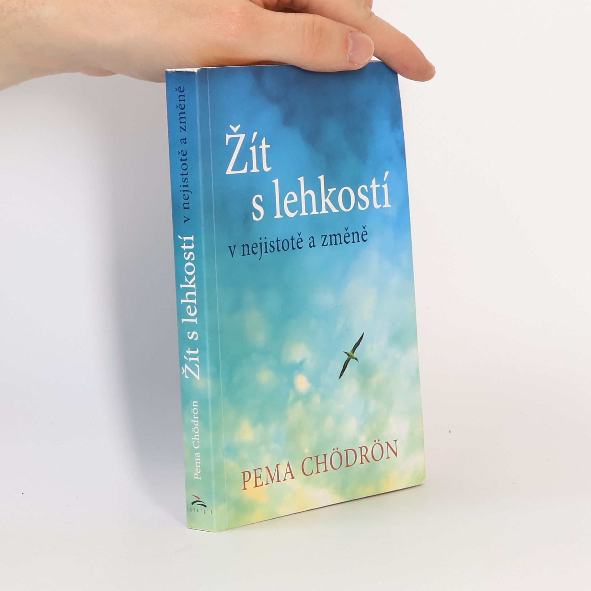 Pema Chödrön Žít s lehkostí