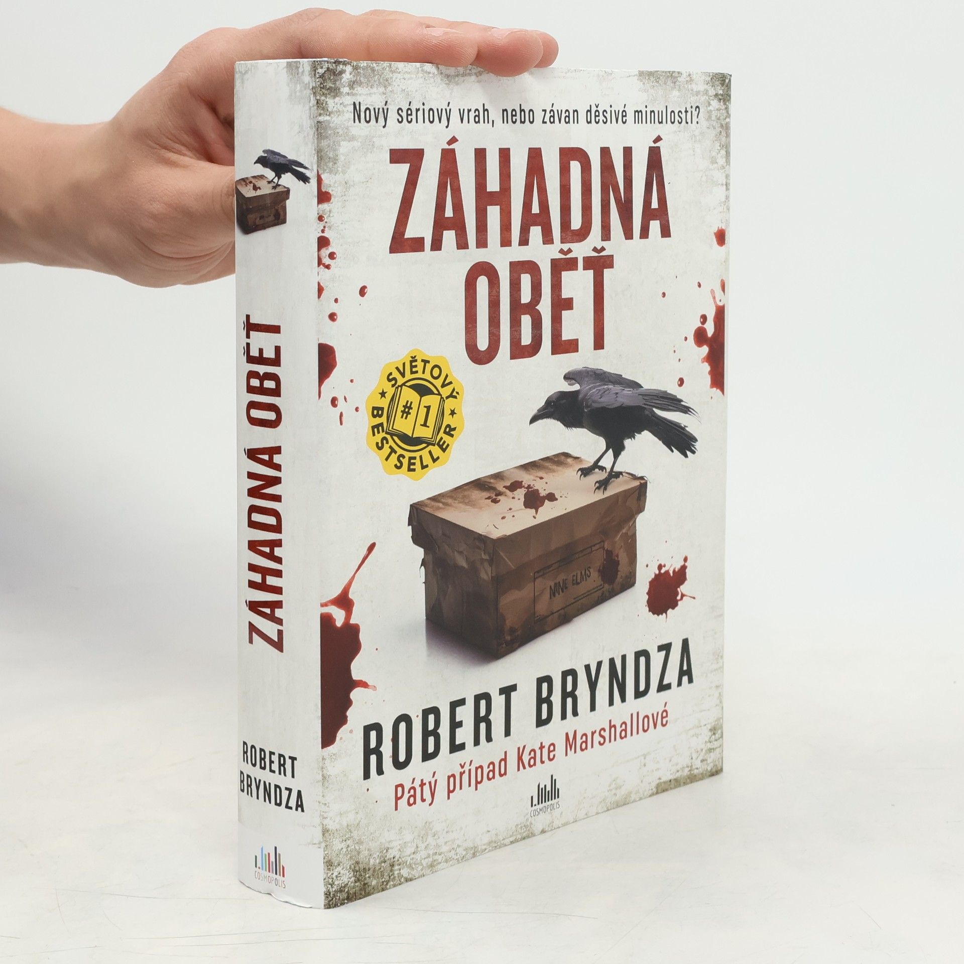 Robert Bryndza Záhadná oběť