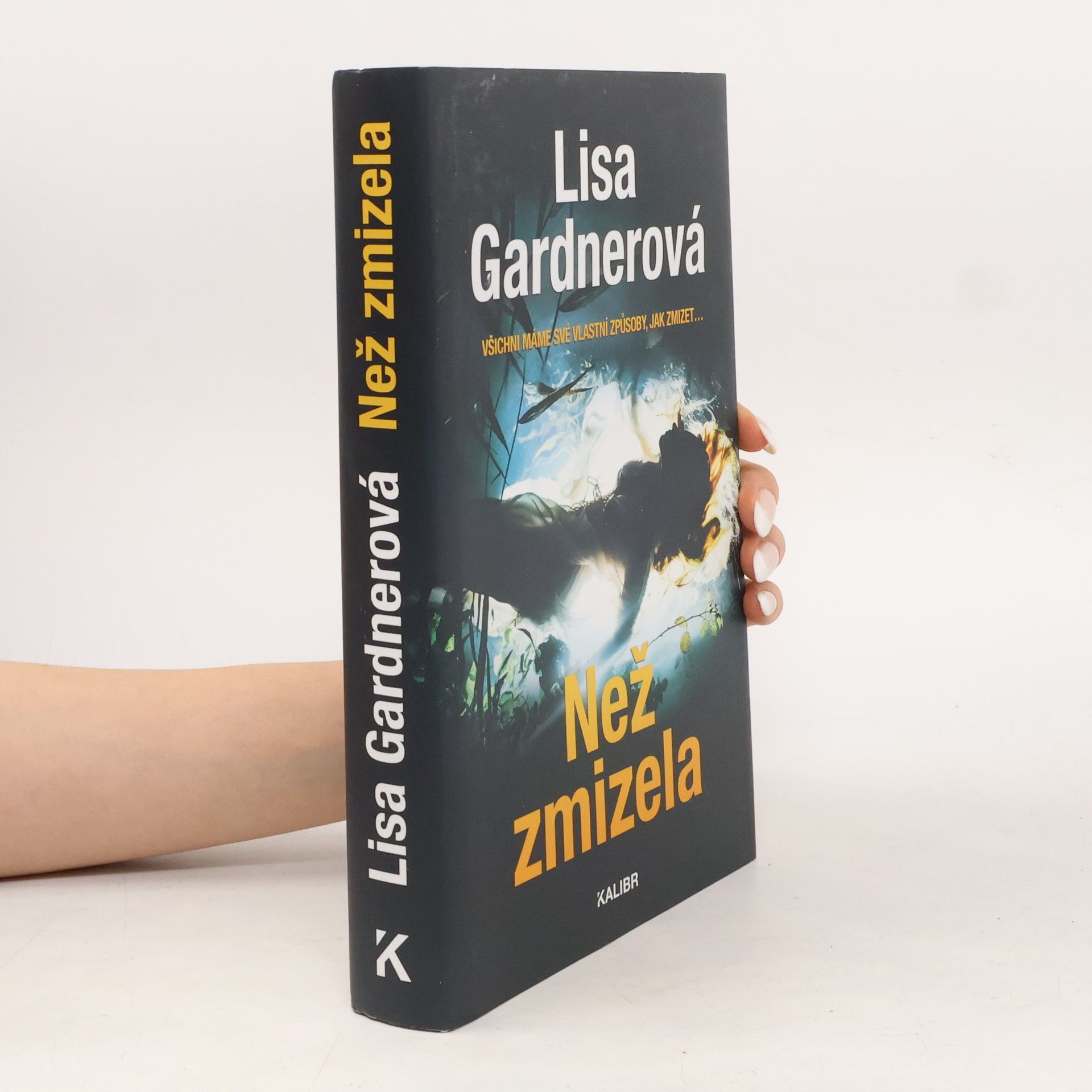 Než zmizela