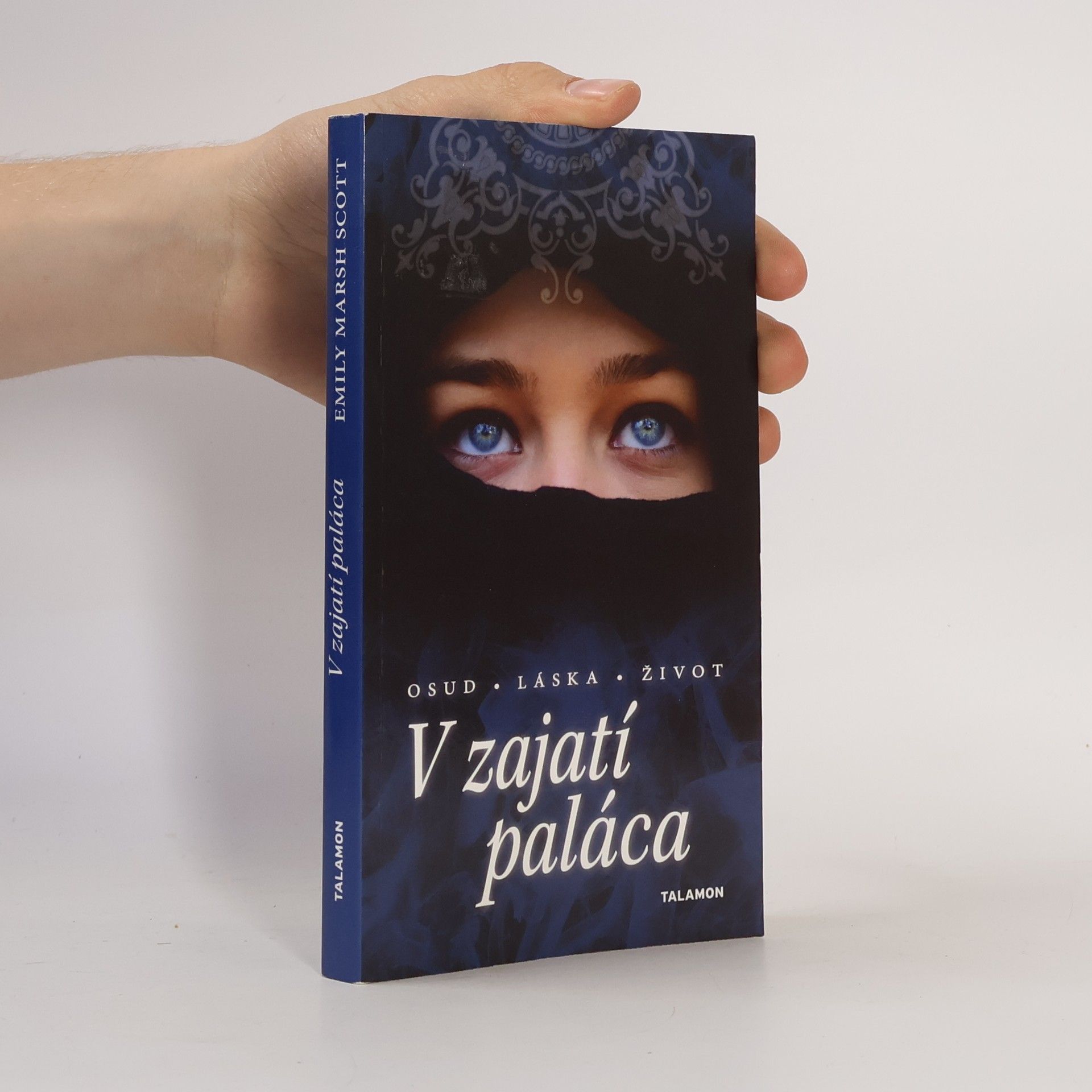 Emily Marsh Scott V zajatí paláca