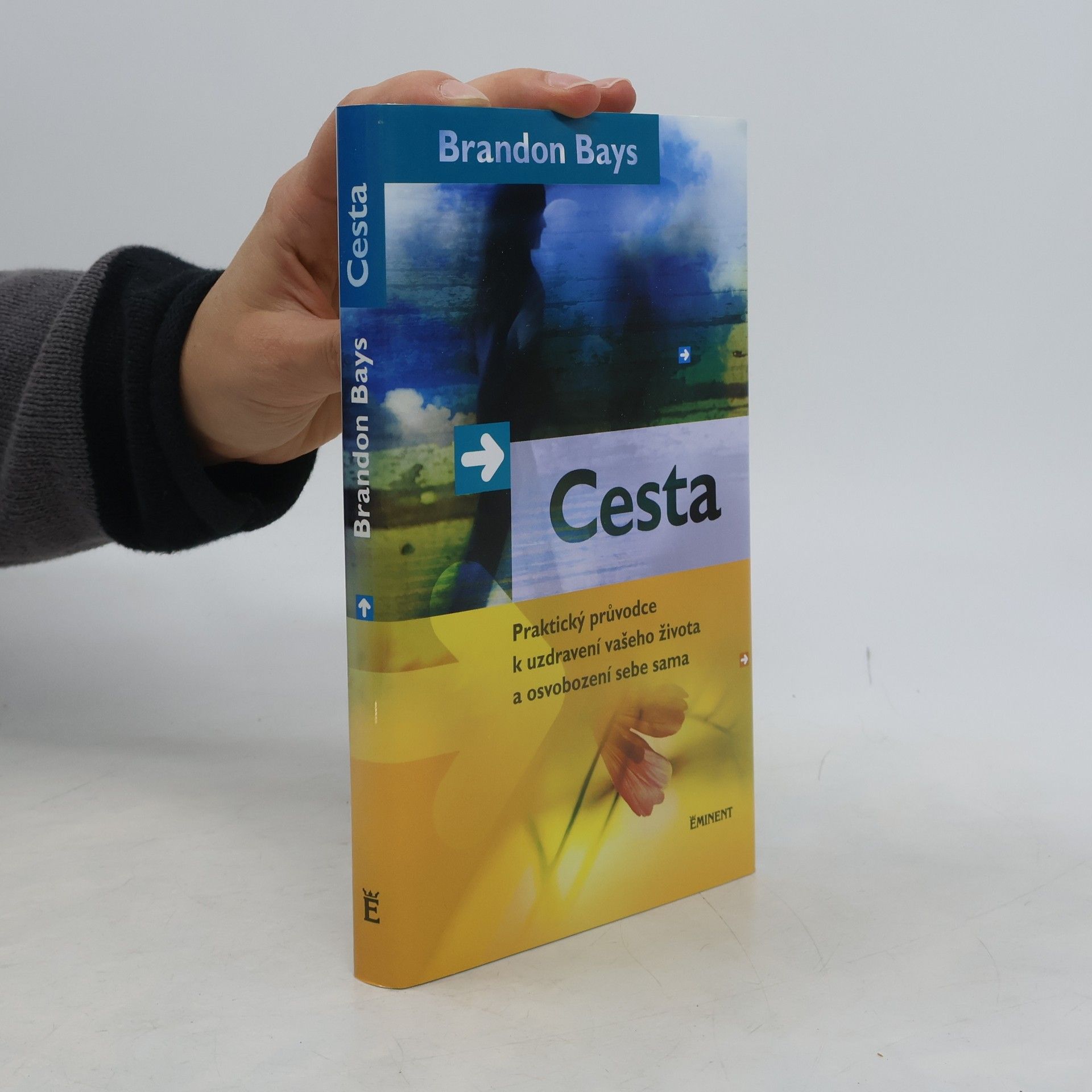 Brandon Bays Cesta