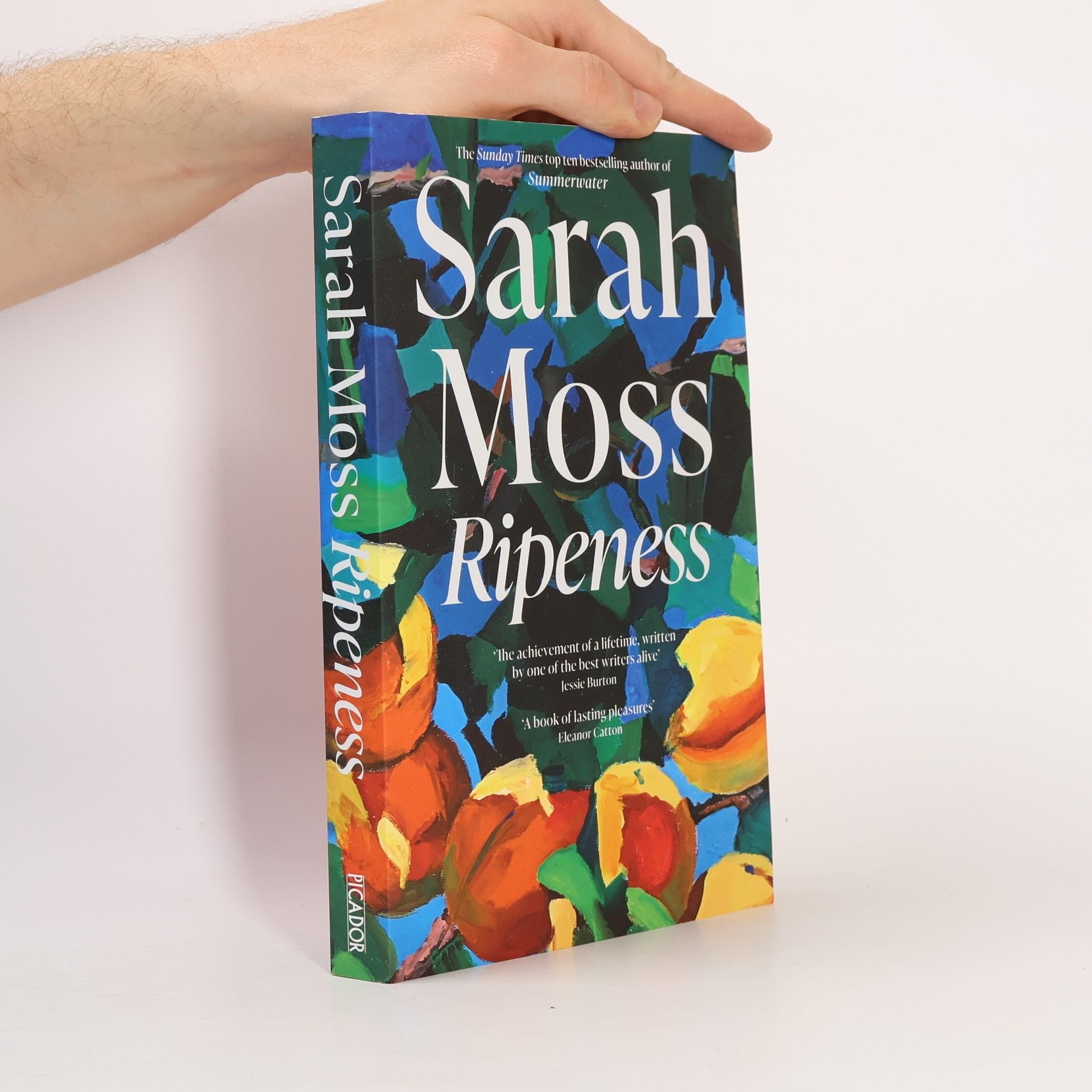Sarah Moss Ripeness: A breathtaking story of love and the search for belonging