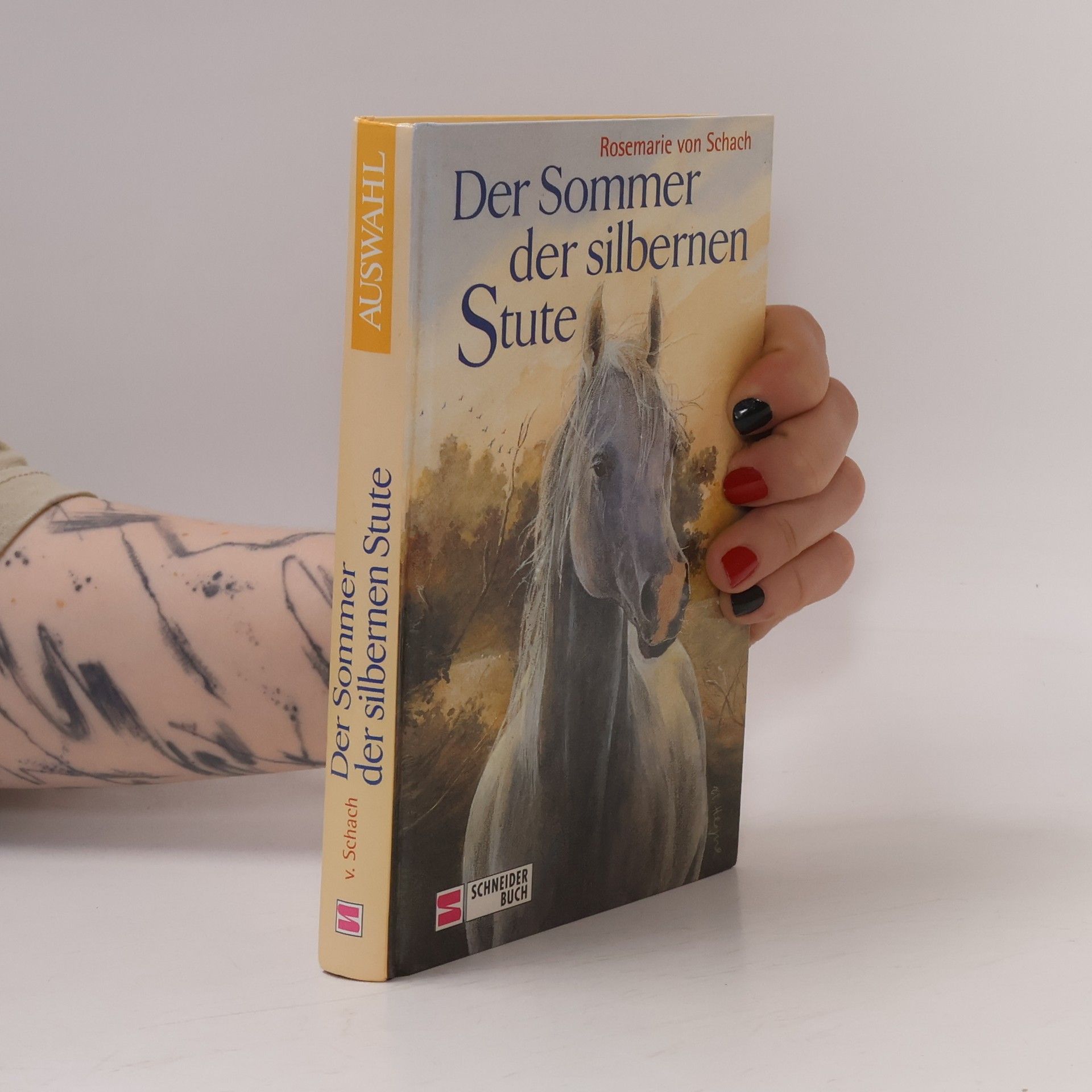 Der Sommer der silbernen Stute