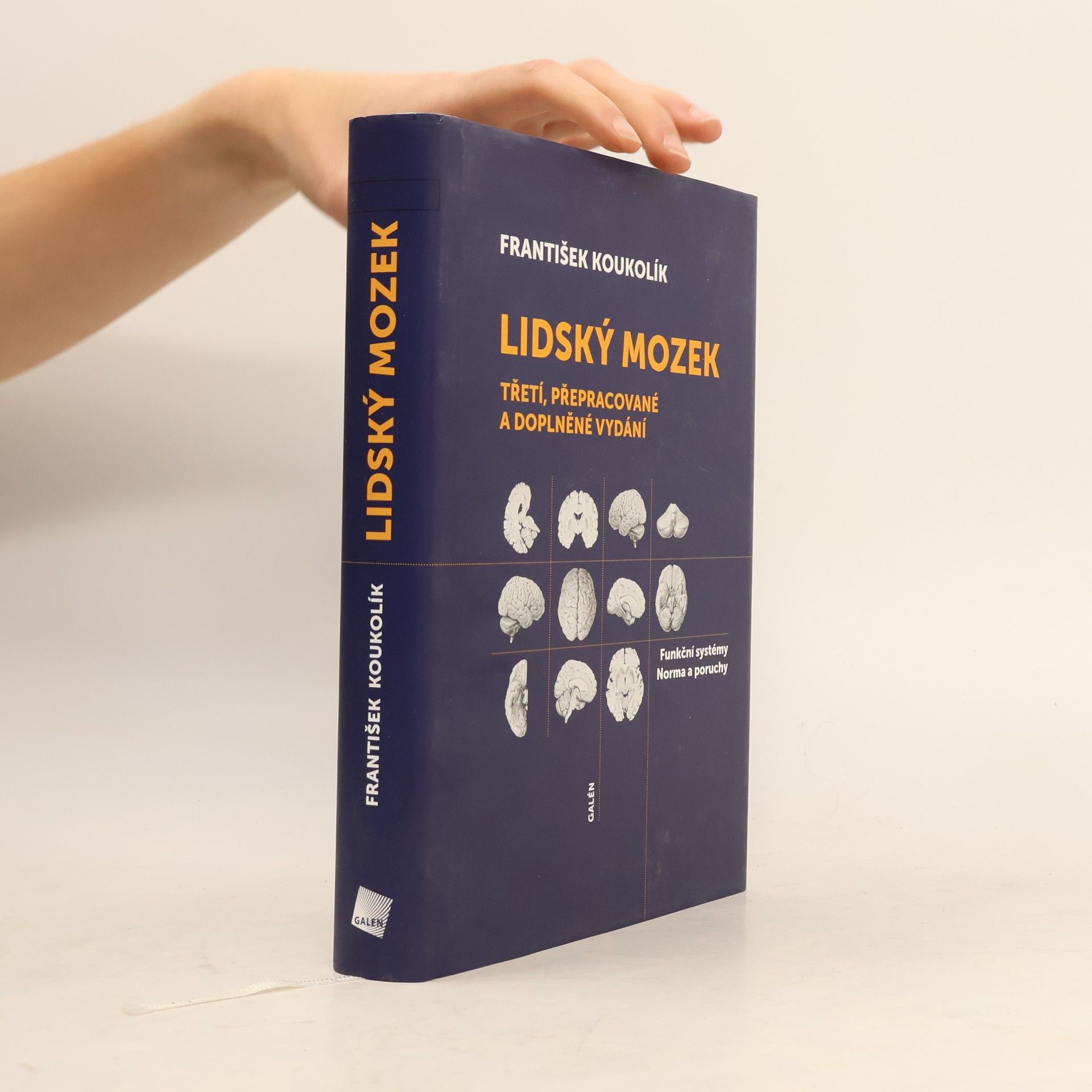František Koukolík Lidský mozek